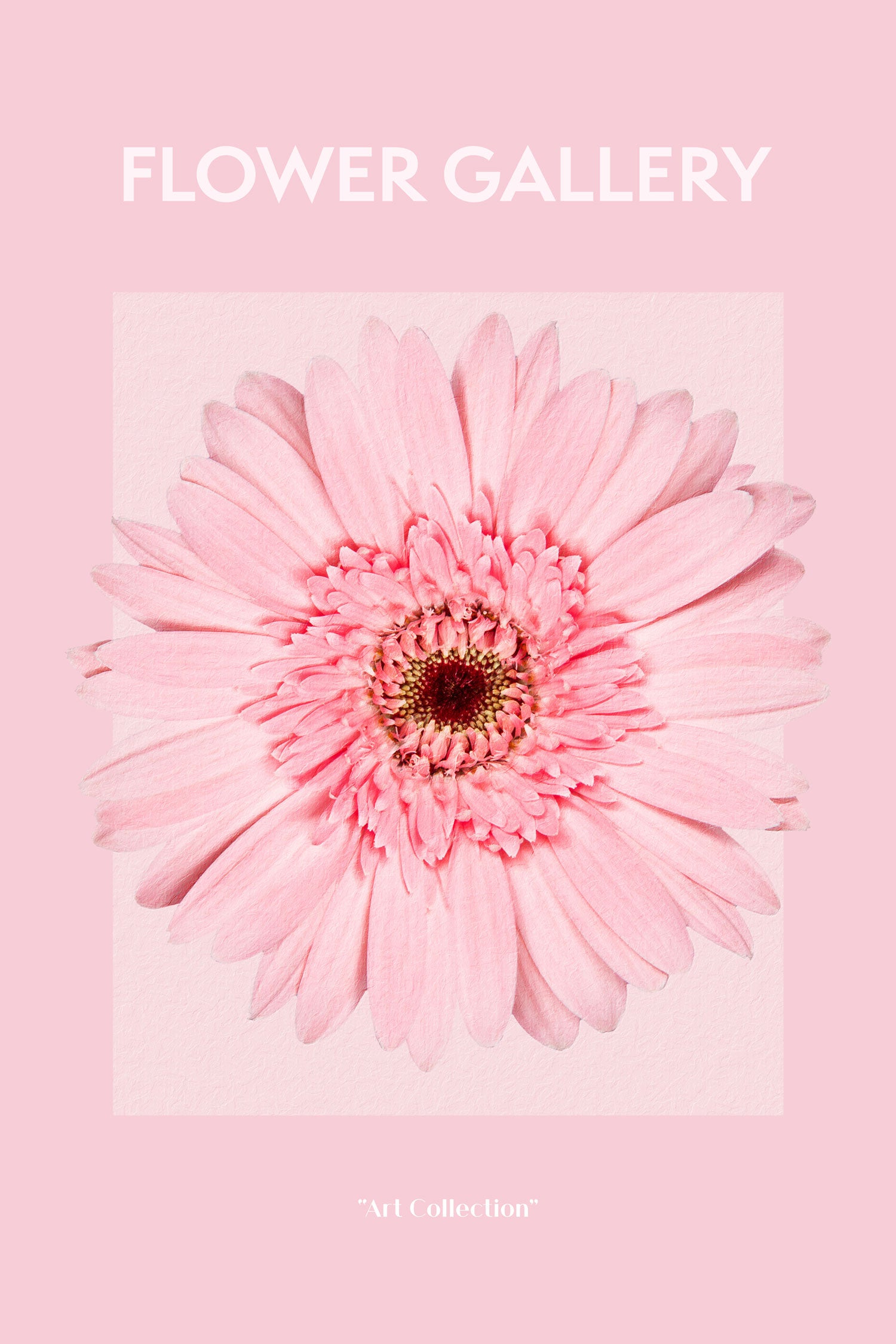 Flower Gallery  - Pinke Gerbera II, Glasbild