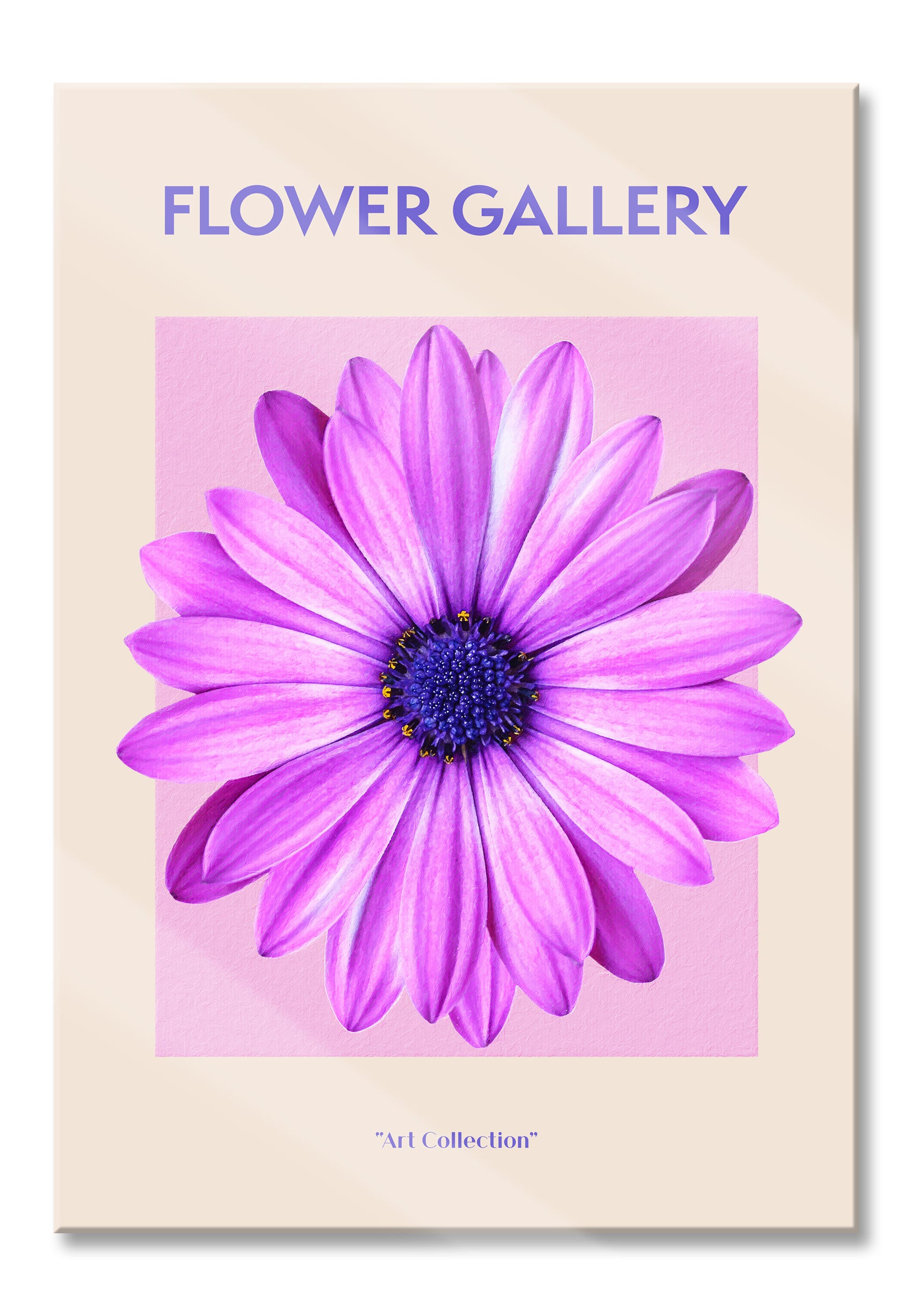 Flower Gallery  - Pinke Margerite, Glasbild