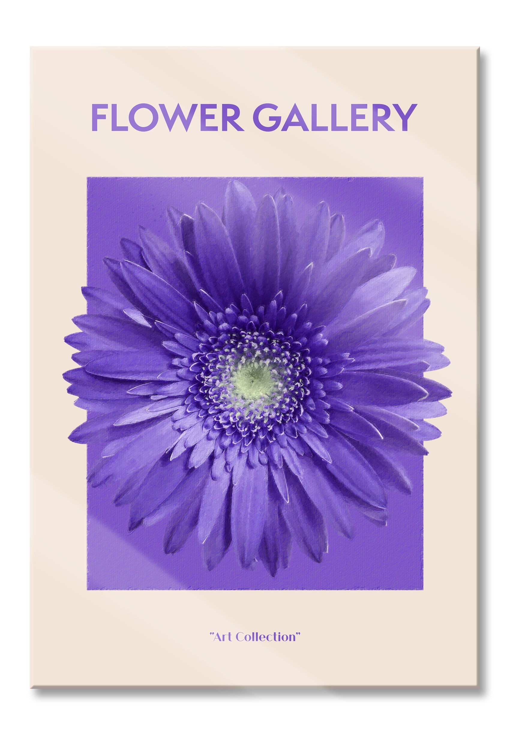 Flower Gallery  - Lila Gerbera , Glasbild