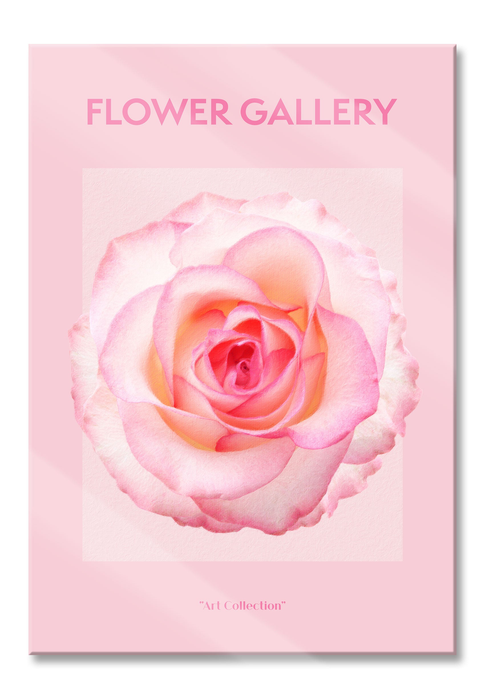 Flower Gallery  - Rosa Rose III, Glasbild