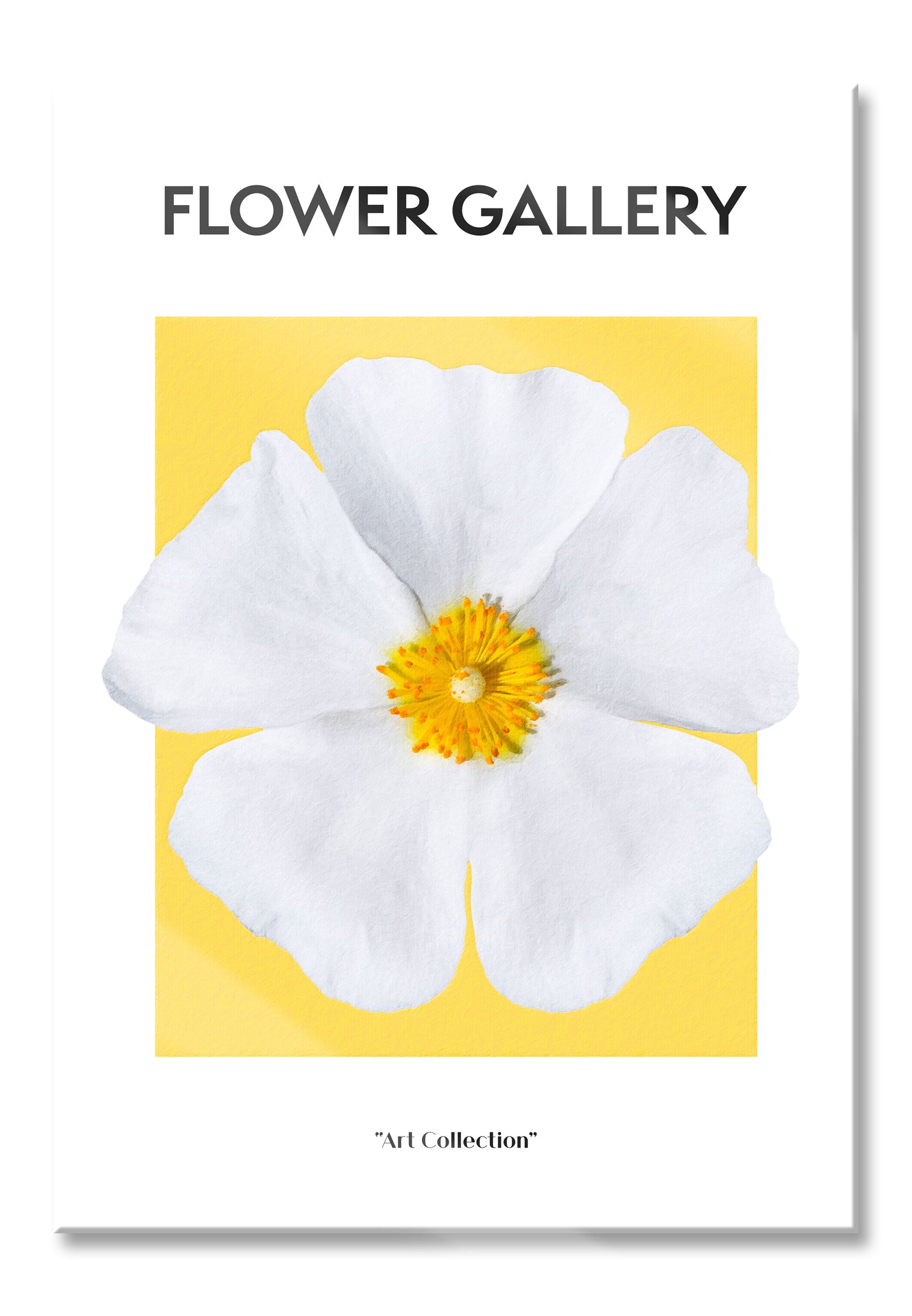 Flower Gallery  - Herbstanemone Anemone, Glasbild