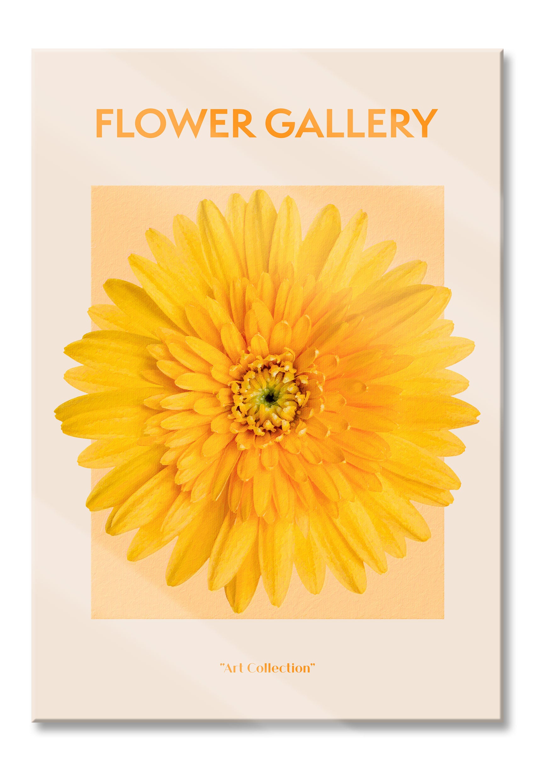 Flower Gallery  - Orange Gerbera III, Glasbild