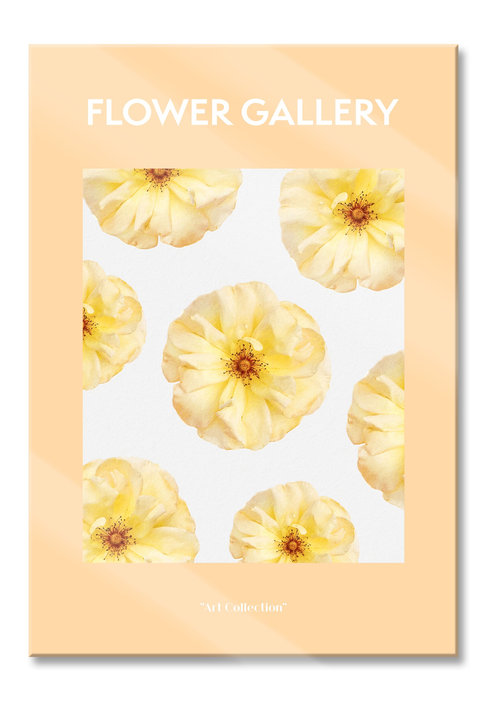 Flower Gallery  - Strauchrose Rose, Glasbild