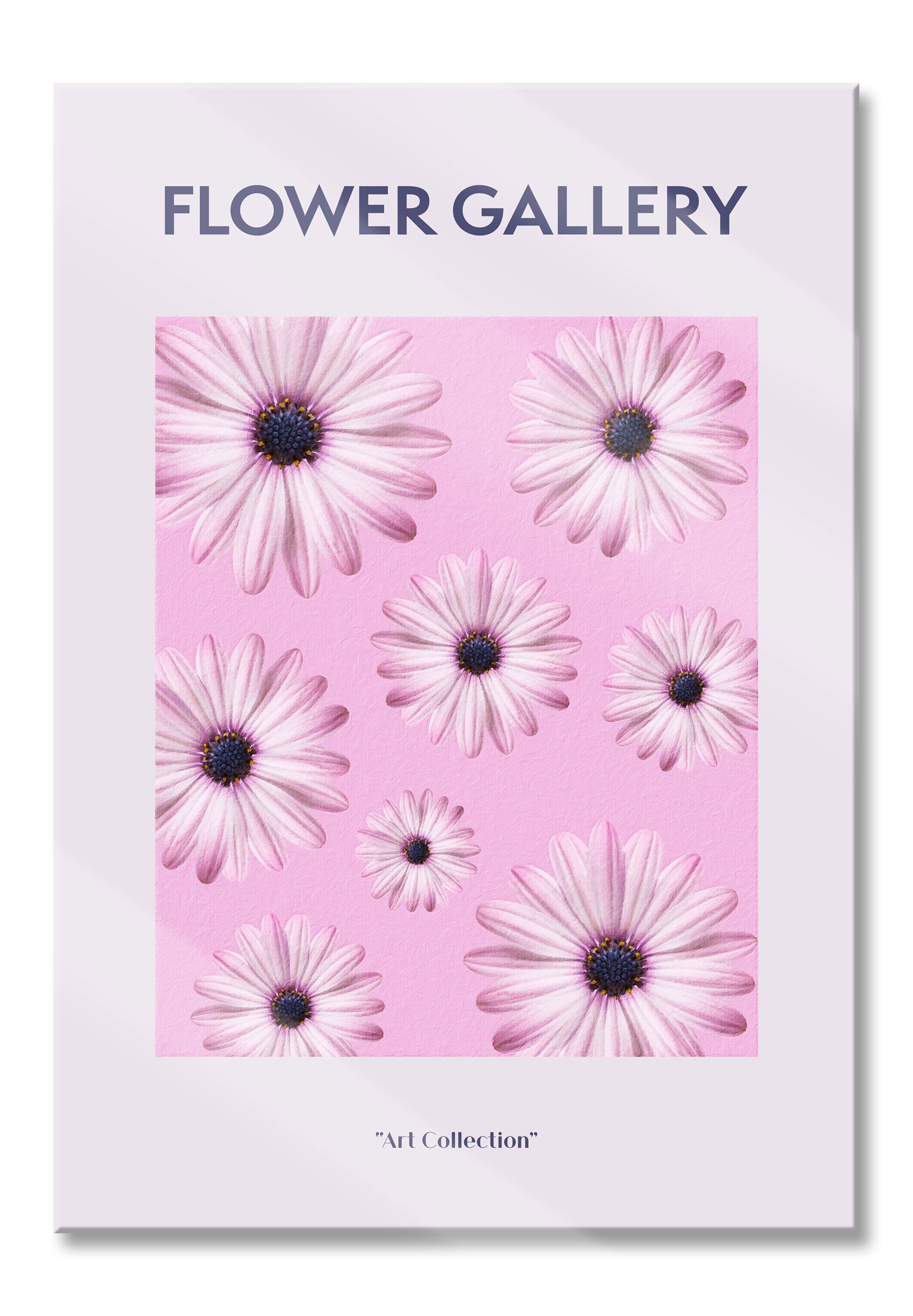 Flower Gallery  - Rosa Margerite II, Glasbild