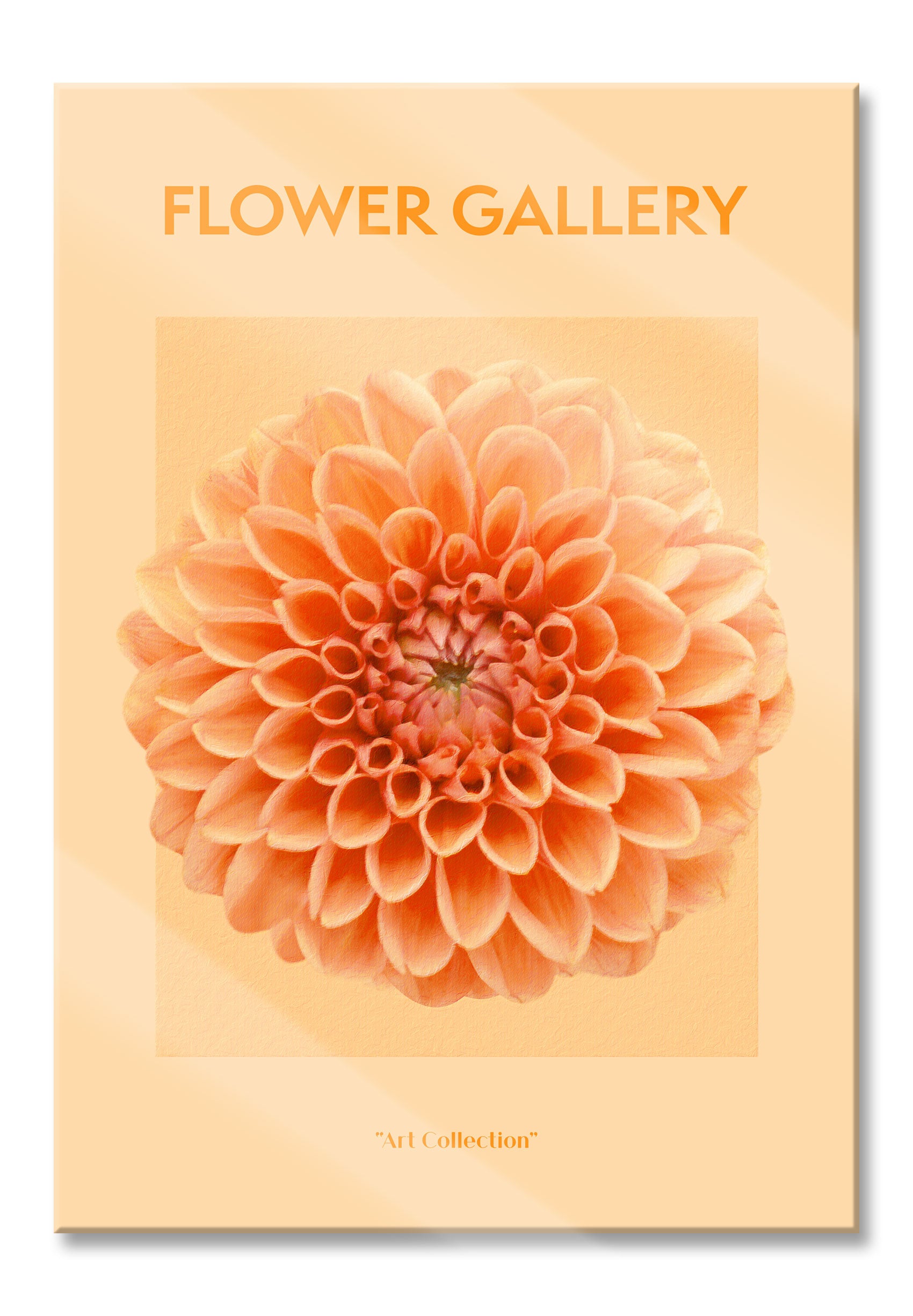 Flower Gallery  - Rosa Chrysantheme II, Glasbild