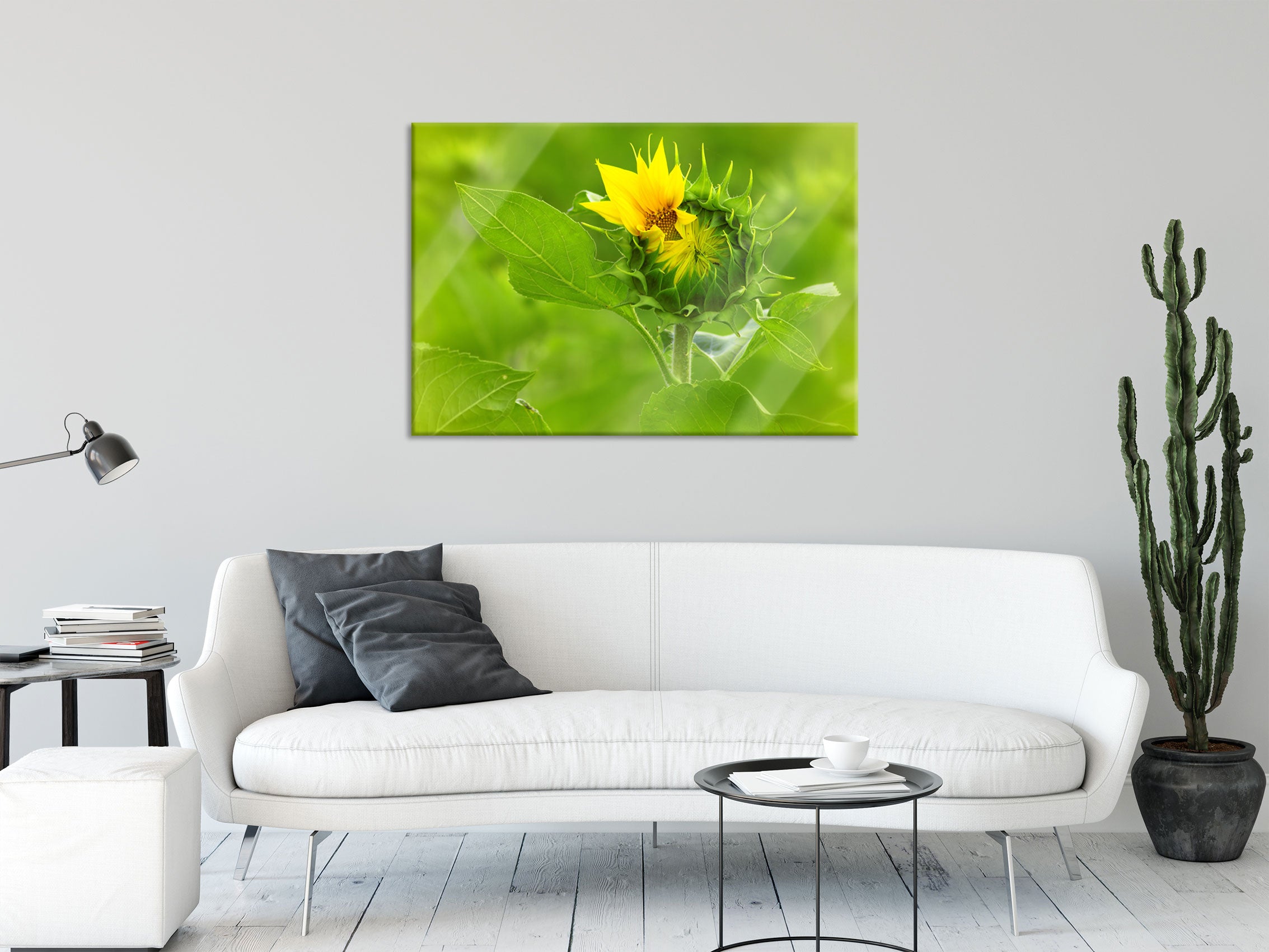 Aufblühende Sonnenblume, Glasbild