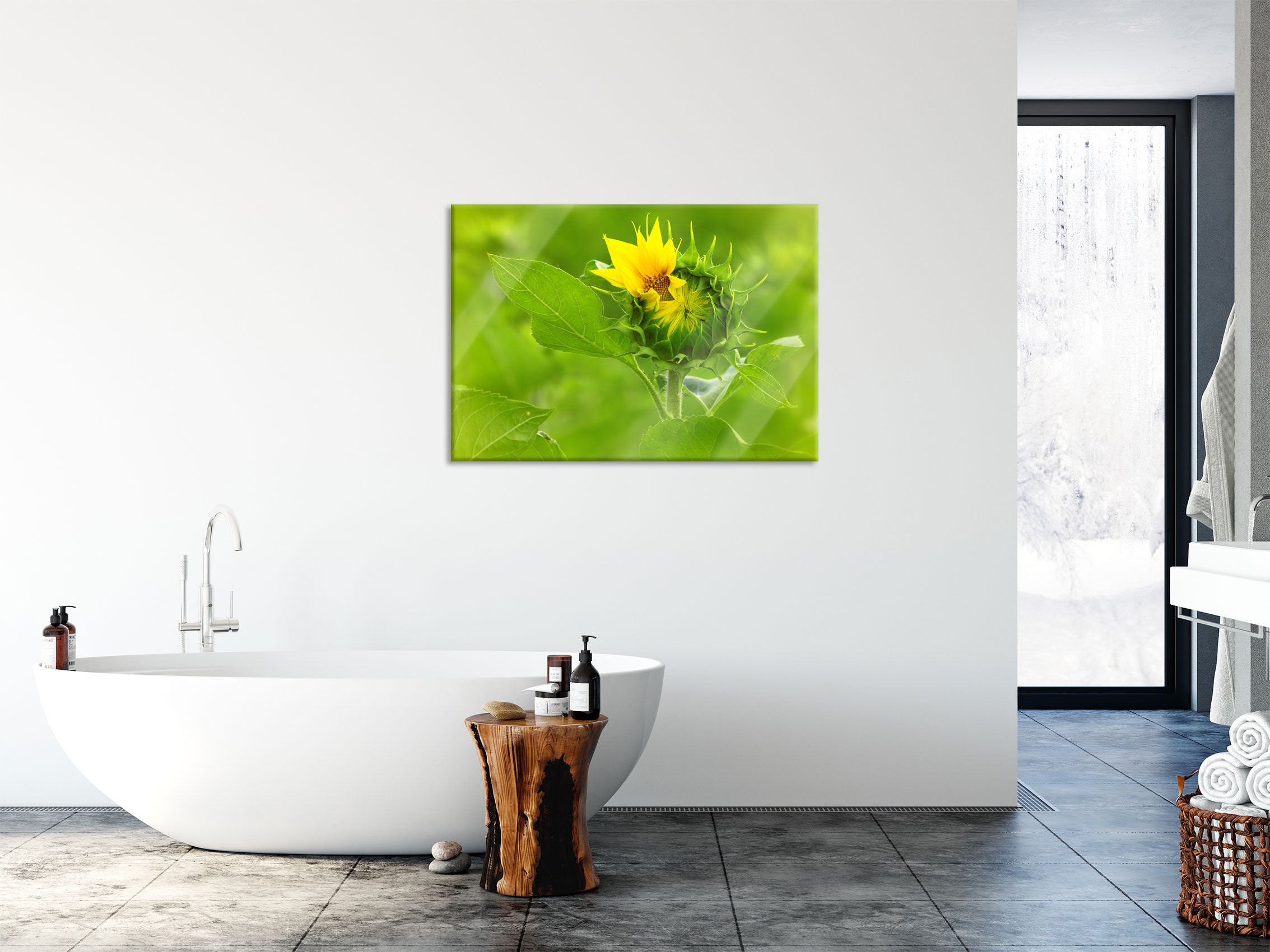 Aufblühende Sonnenblume, Glasbild