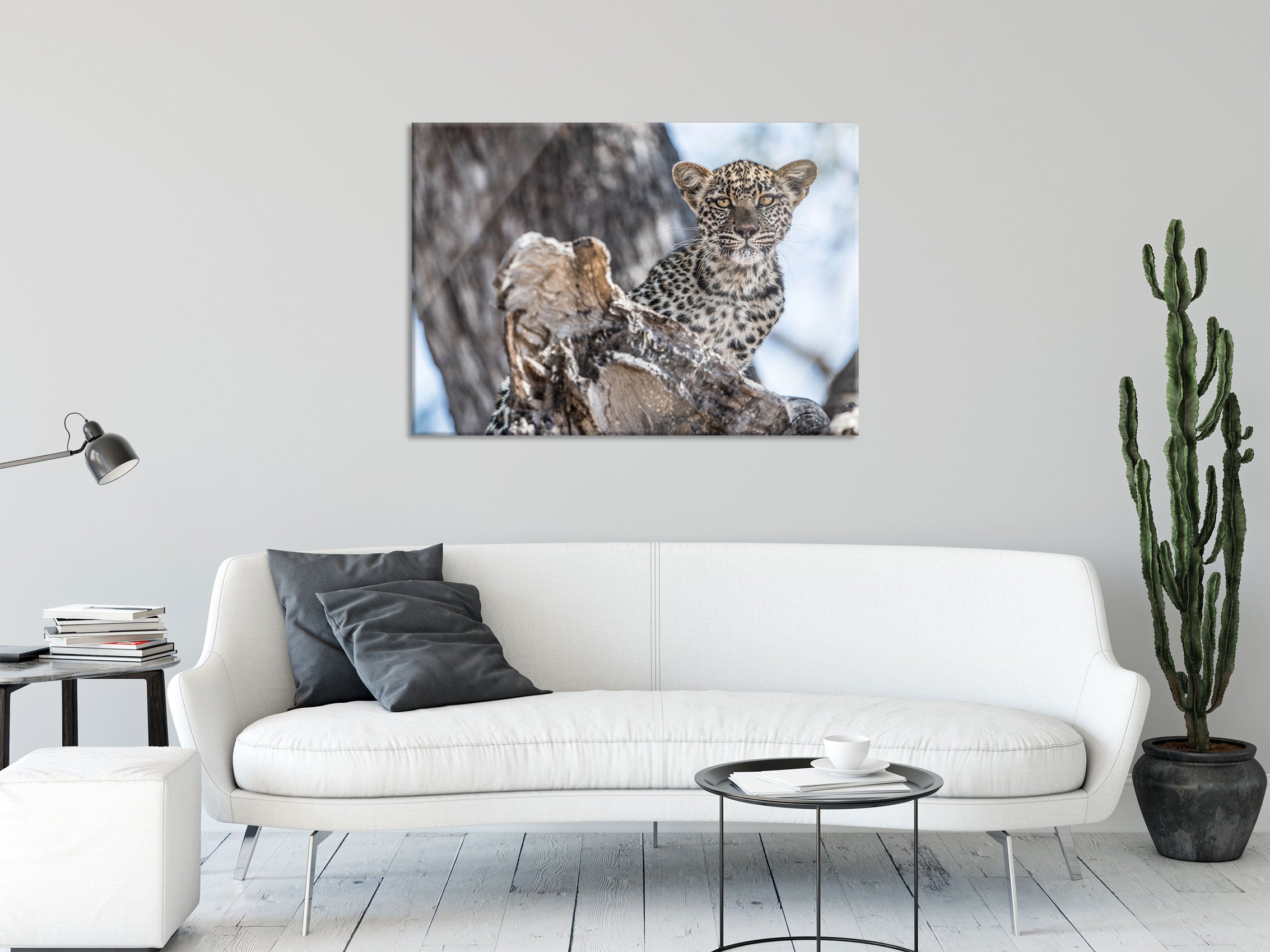 Leopardjunges auf Baum, Glasbild