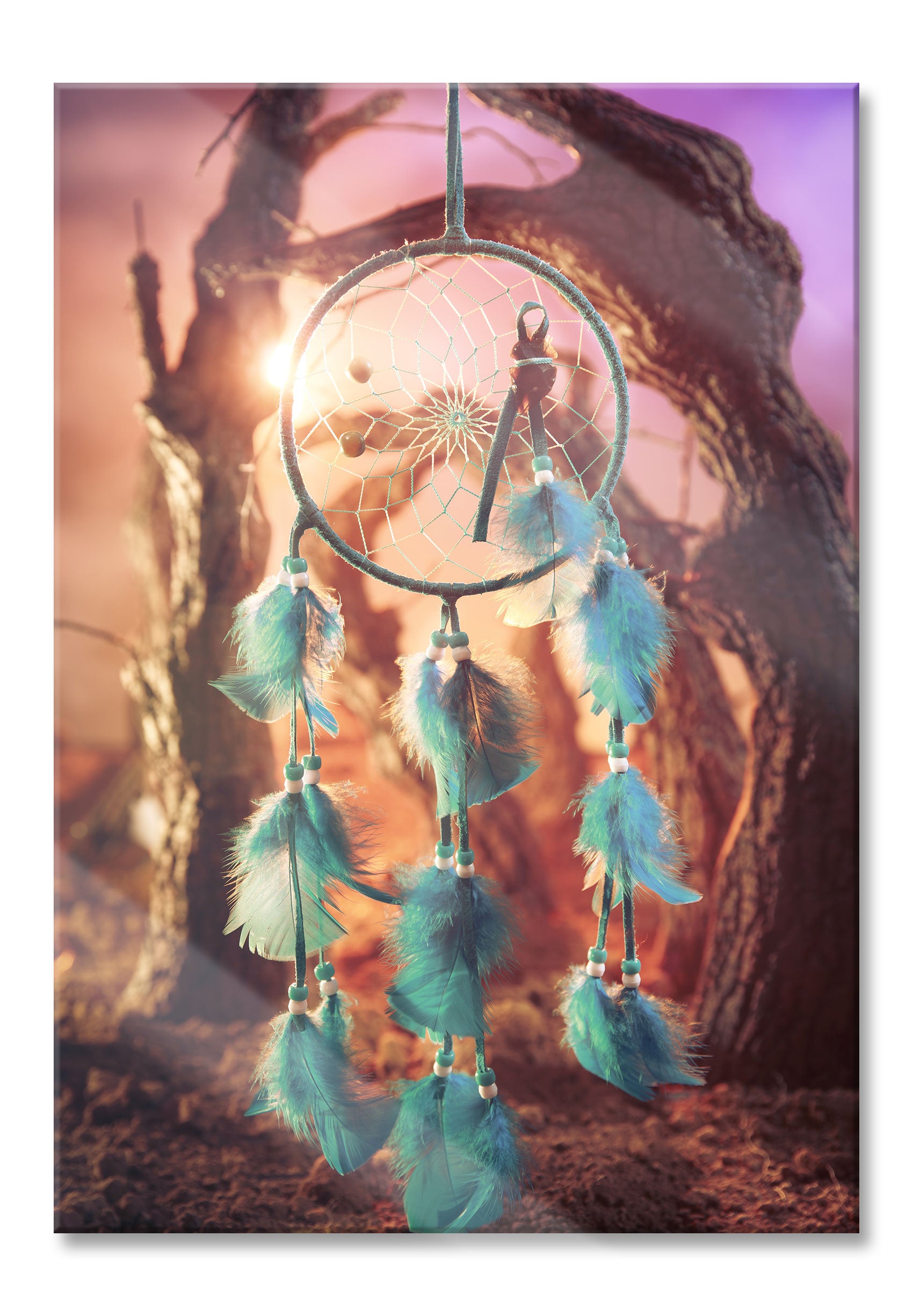 Dreamcatcher, Glasbild