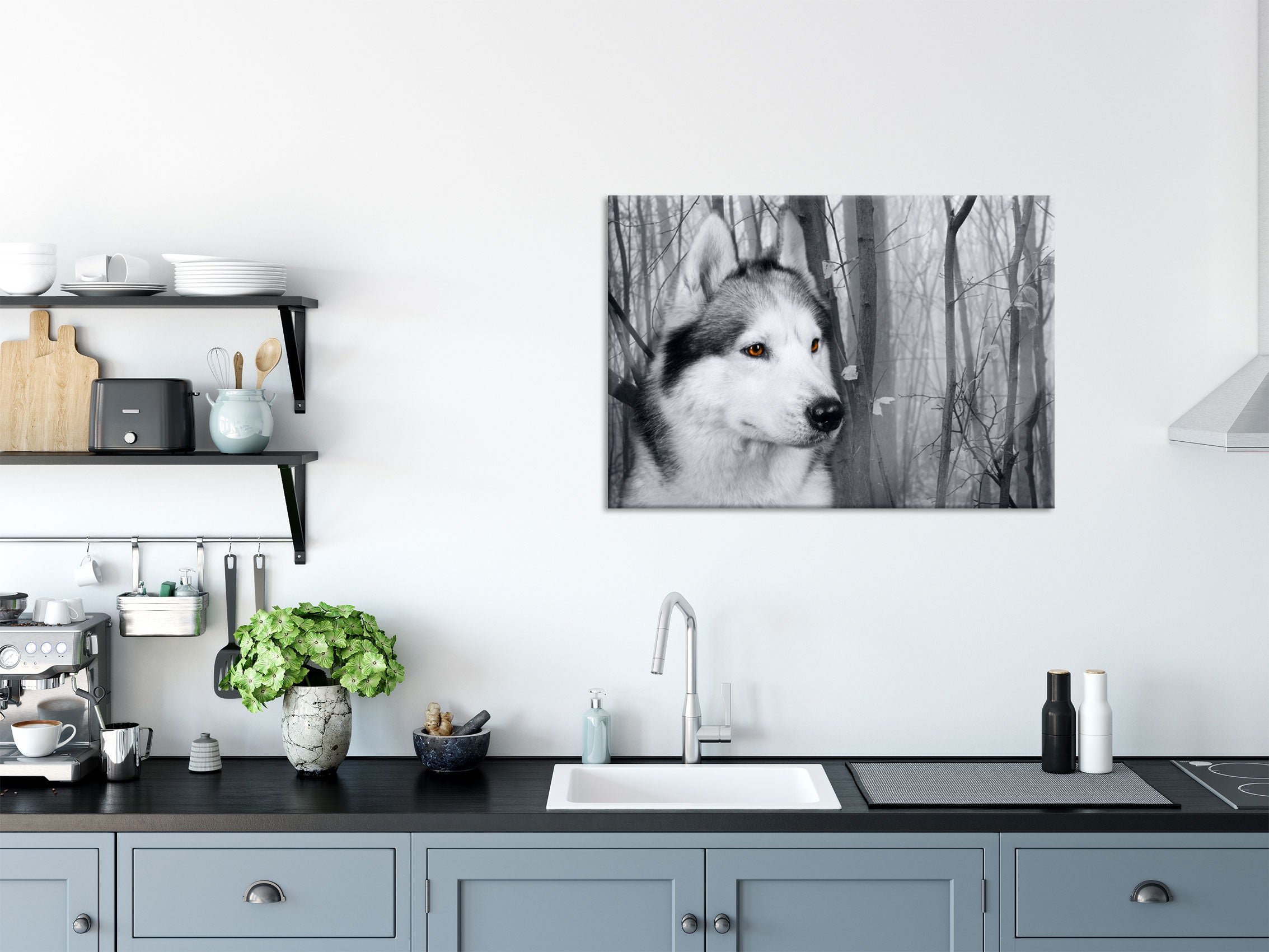 Wachsamer Husky, Glasbild