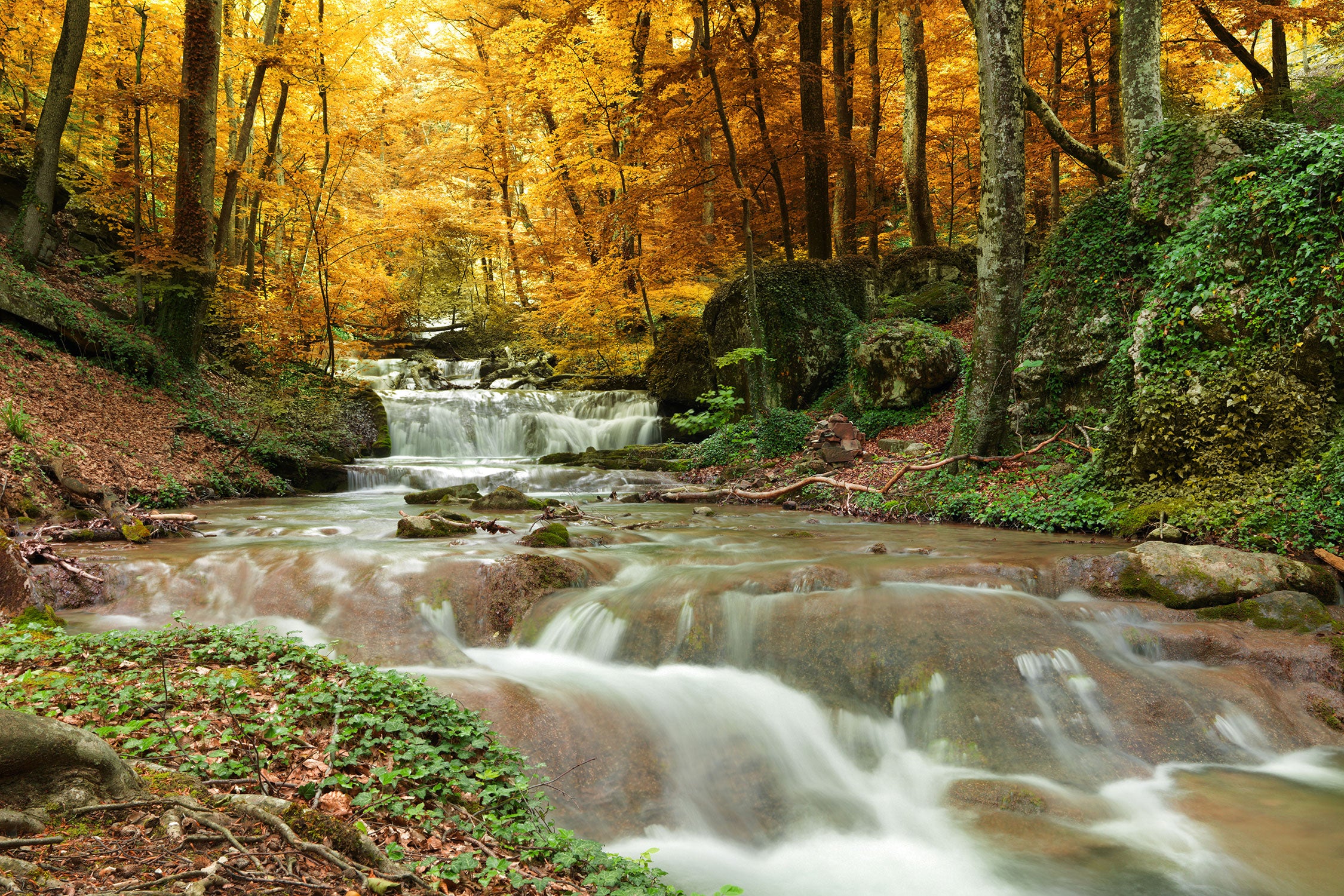 Waldbach im Herbst, Glasbild