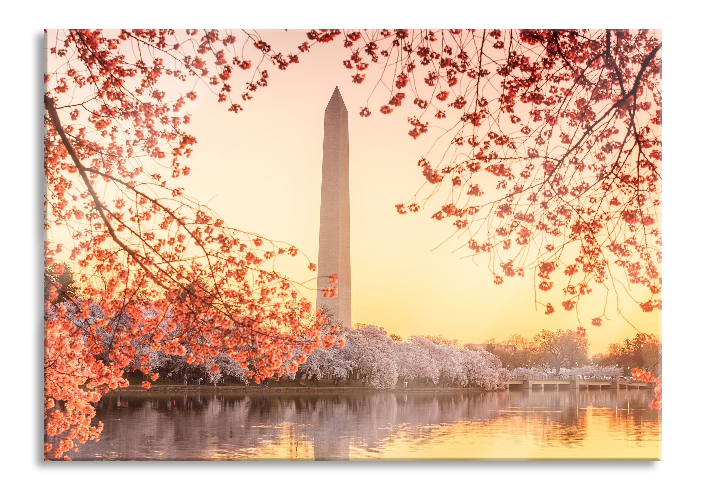 Jefferson Memorial, Glasbild