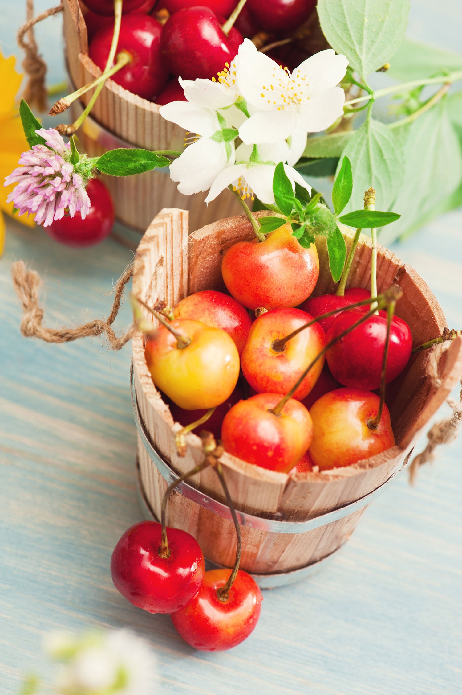 Bucket of cherries, Glasbild