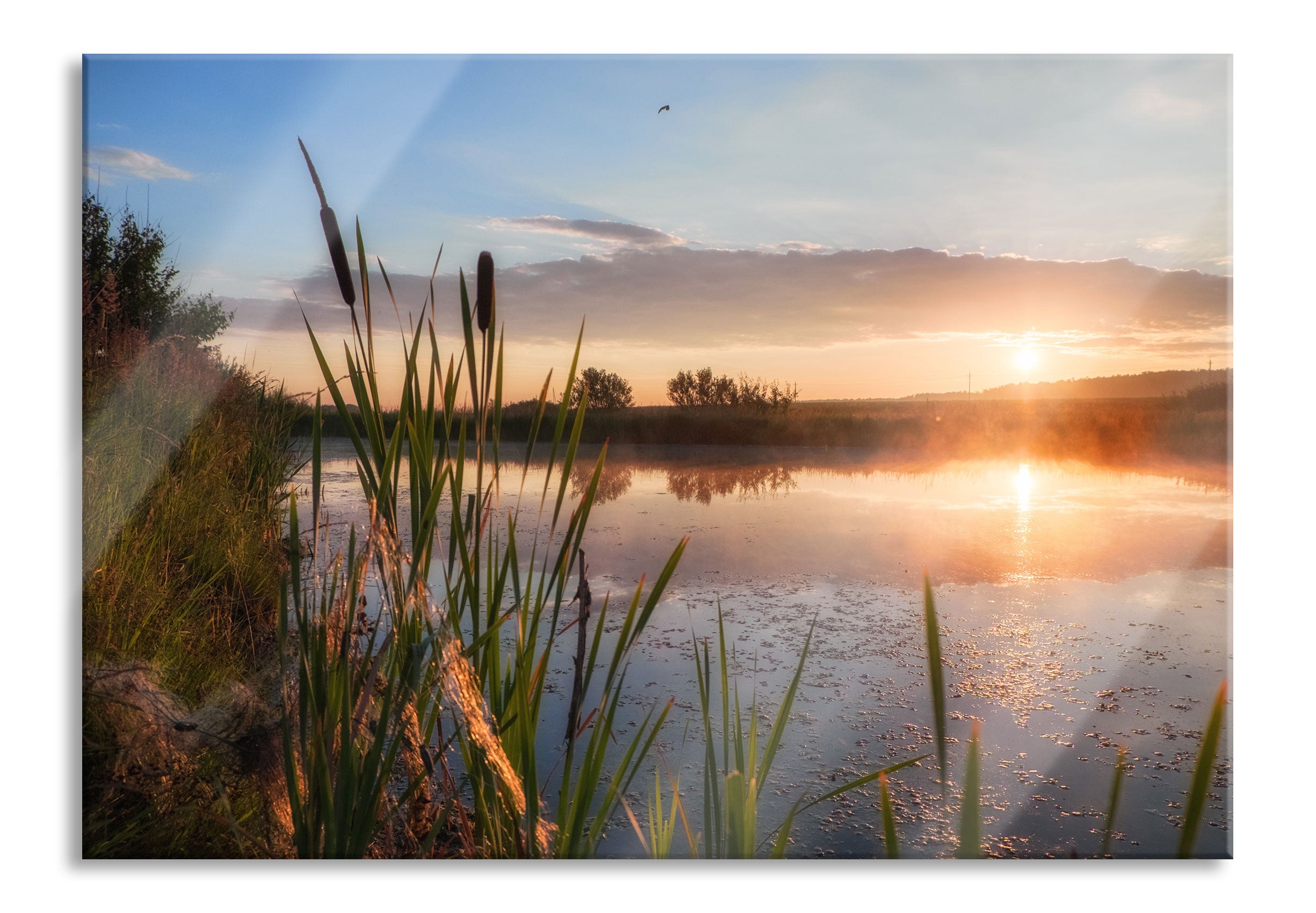 Sonniger Morgen am See, Glasbild