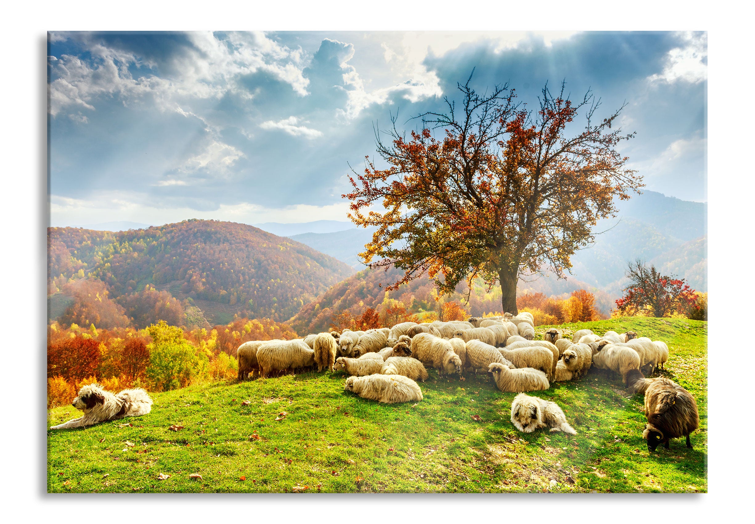 Romanian Carpathians Gebirge, Glasbild