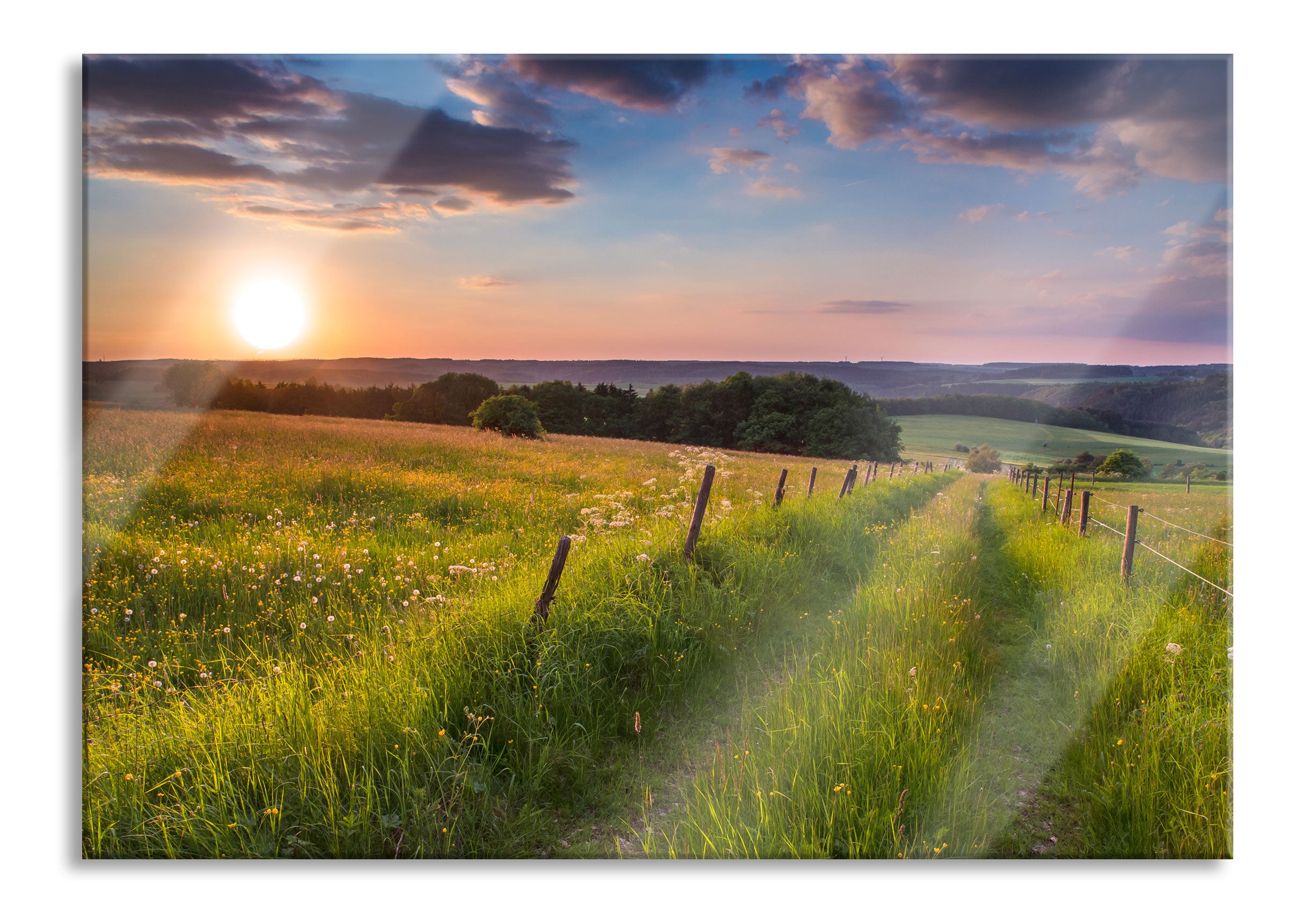 Bergwiese im Sonnenaufgang, Glasbild