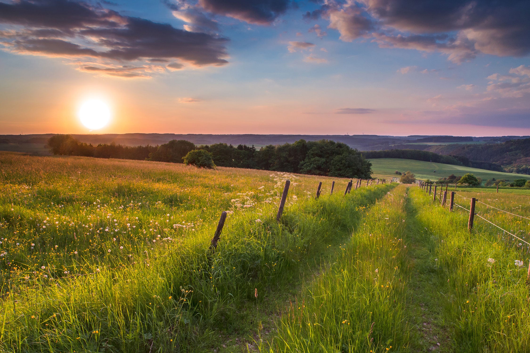 Bergwiese im Sonnenaufgang, Glasbild