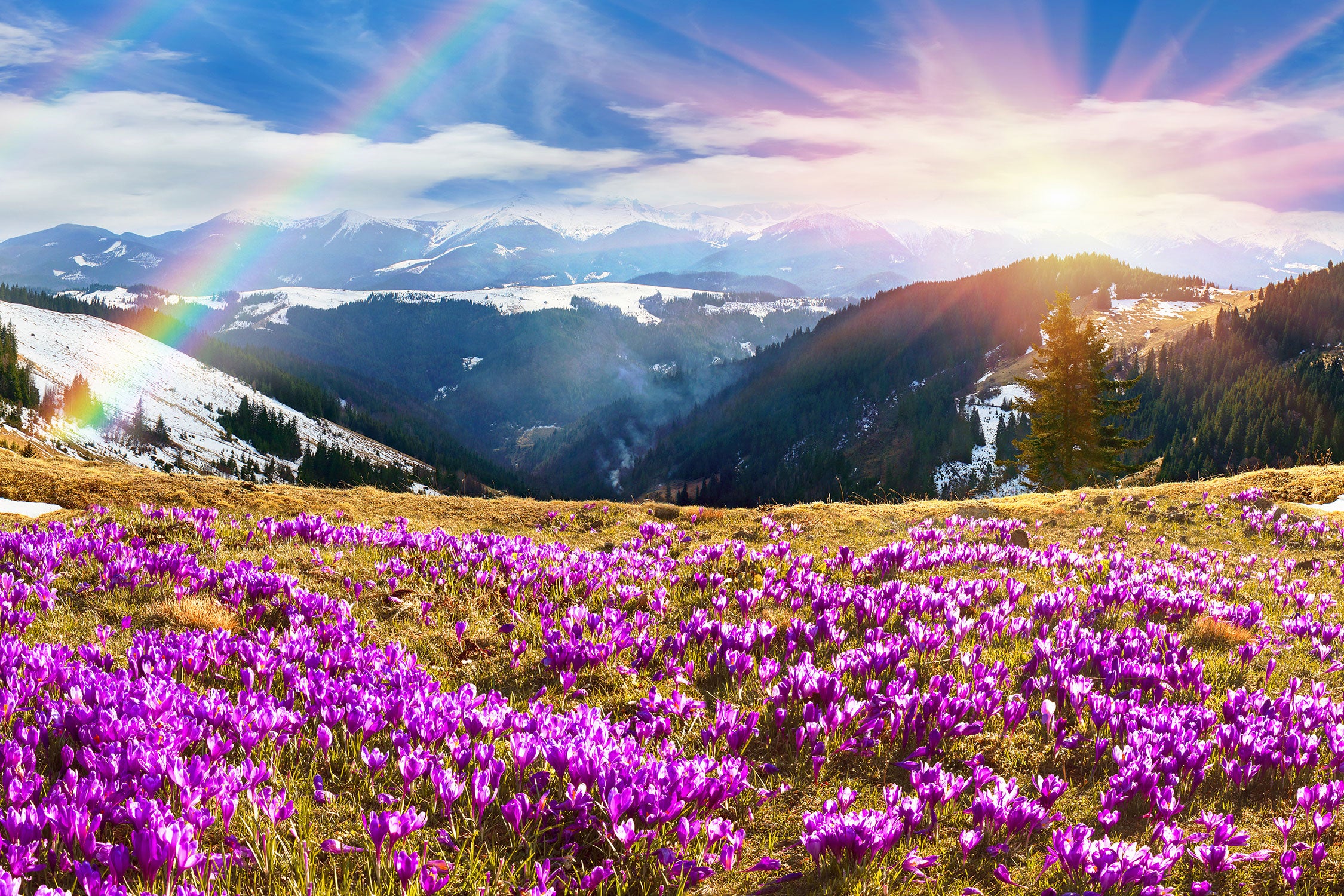 Berge mit Regenbogen, Glasbild