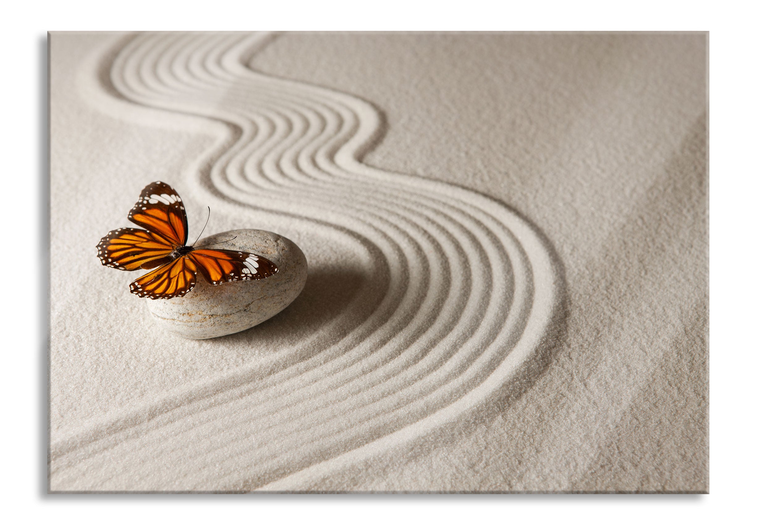 Zen Schmetterling, Glasbild