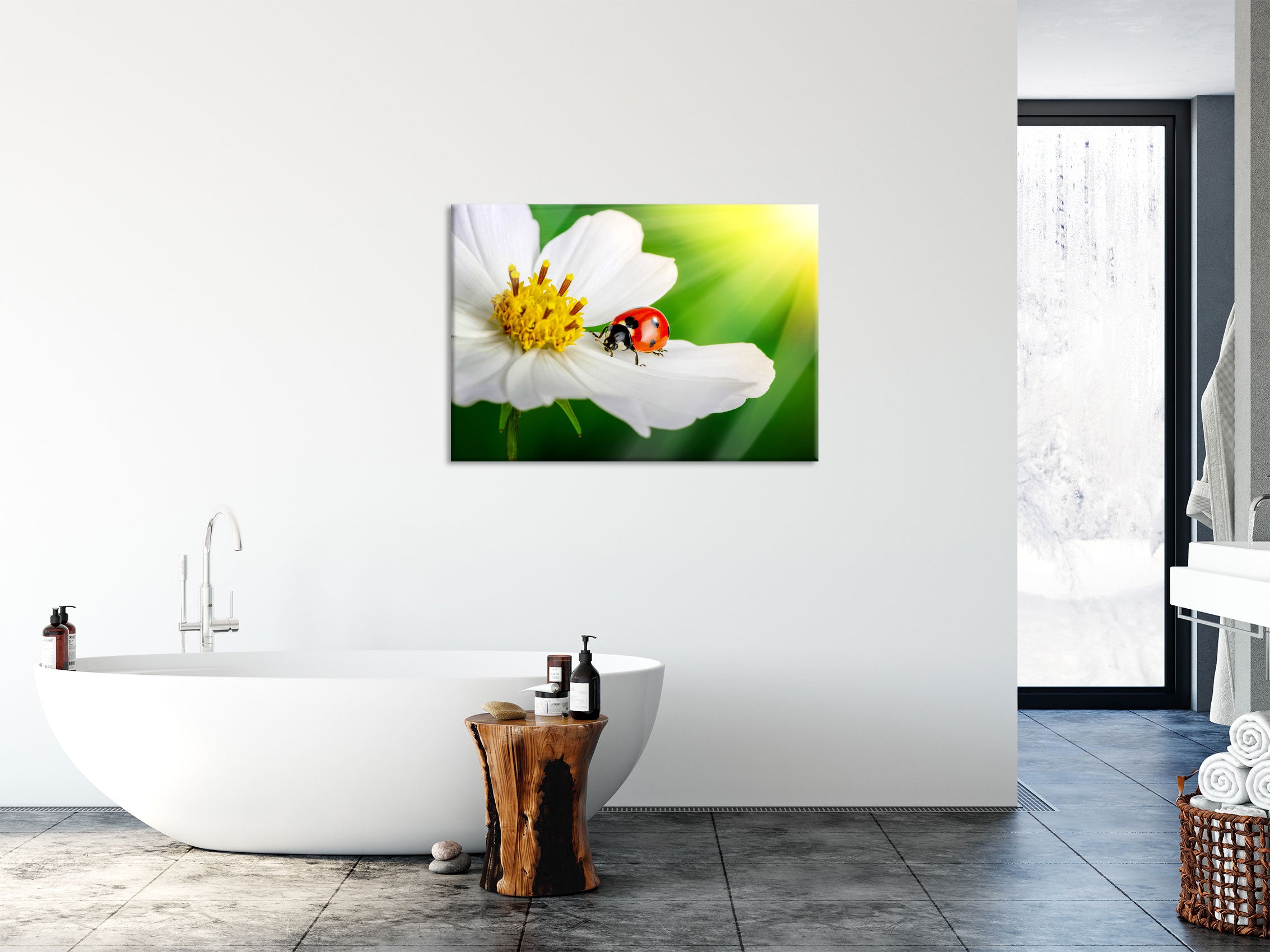 Marienkäfer auf einer weißen Blume, Glasbild