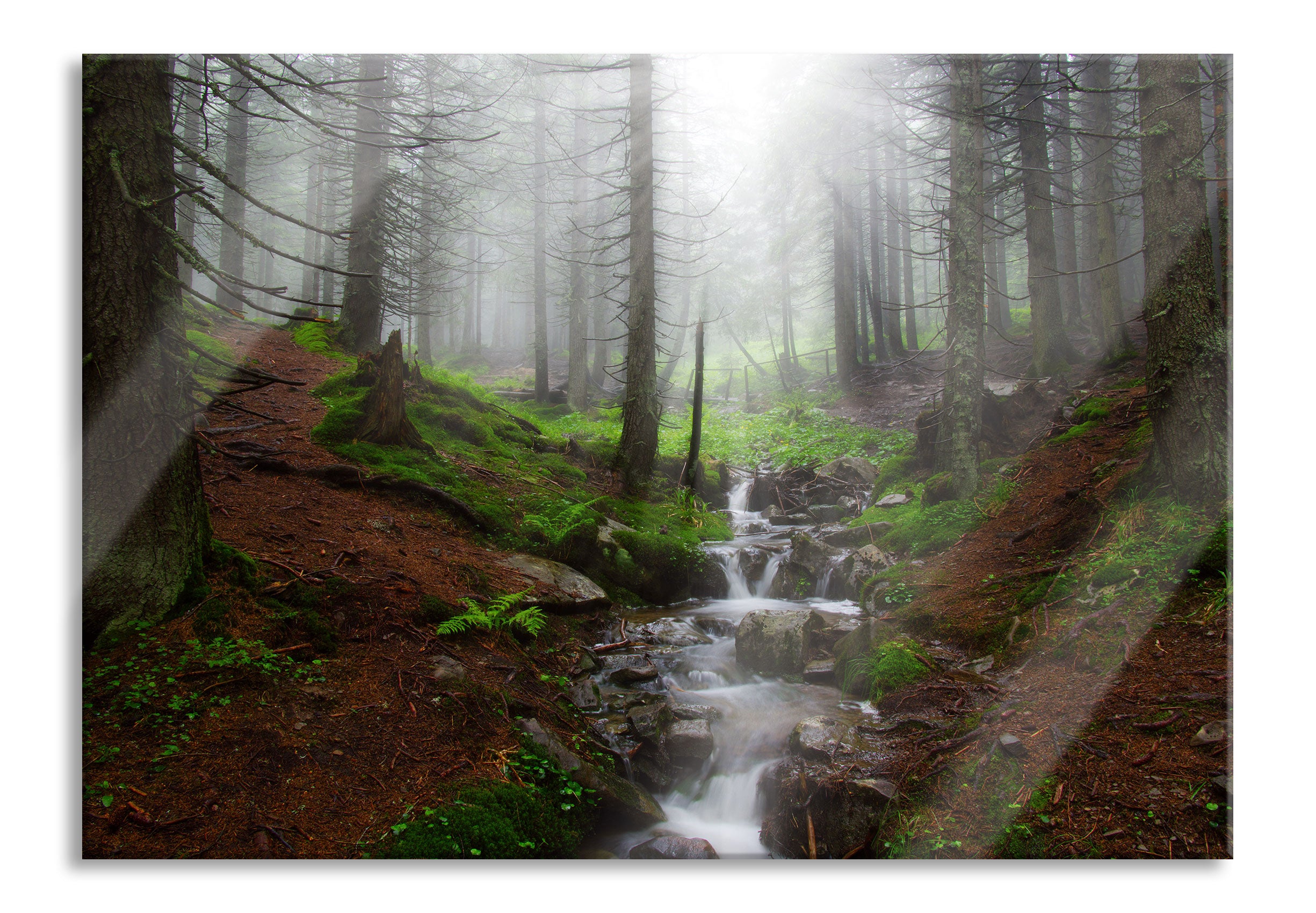 Bach im Wald, Glasbild