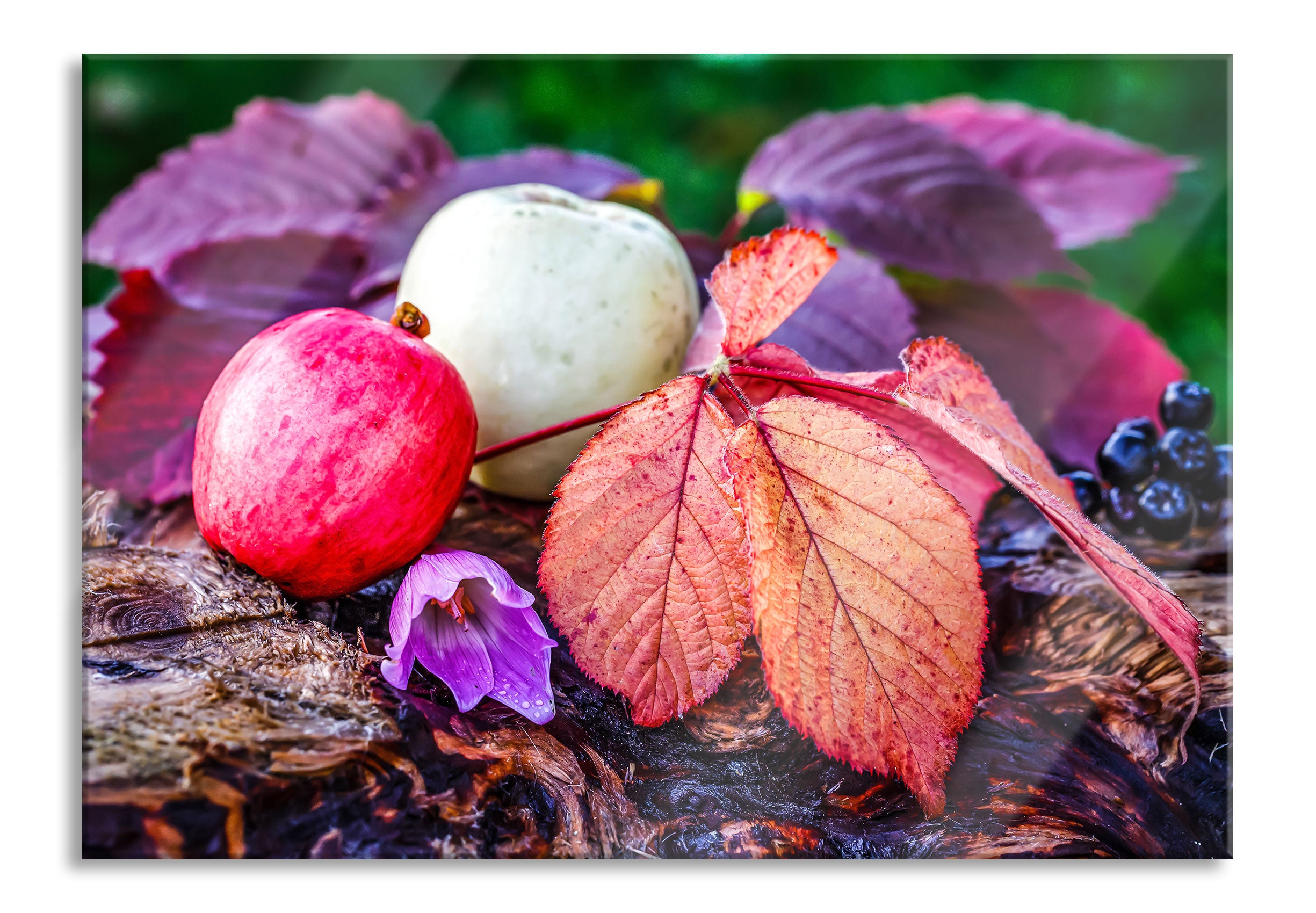 Äpfel und Blätter im Herbst, Glasbild