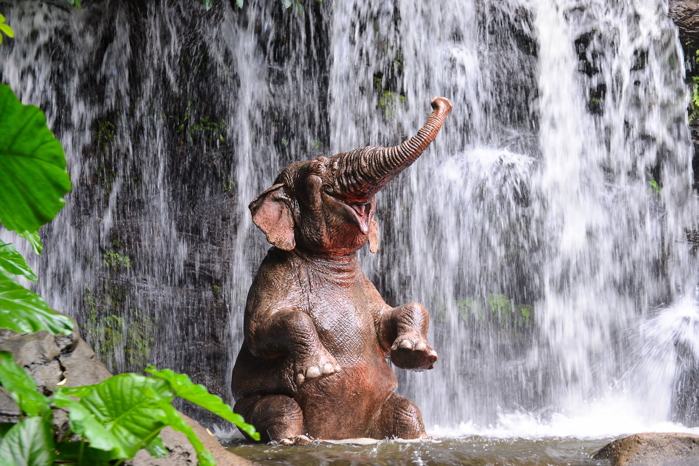 Babyelefant am Wasserfall, Glasbild