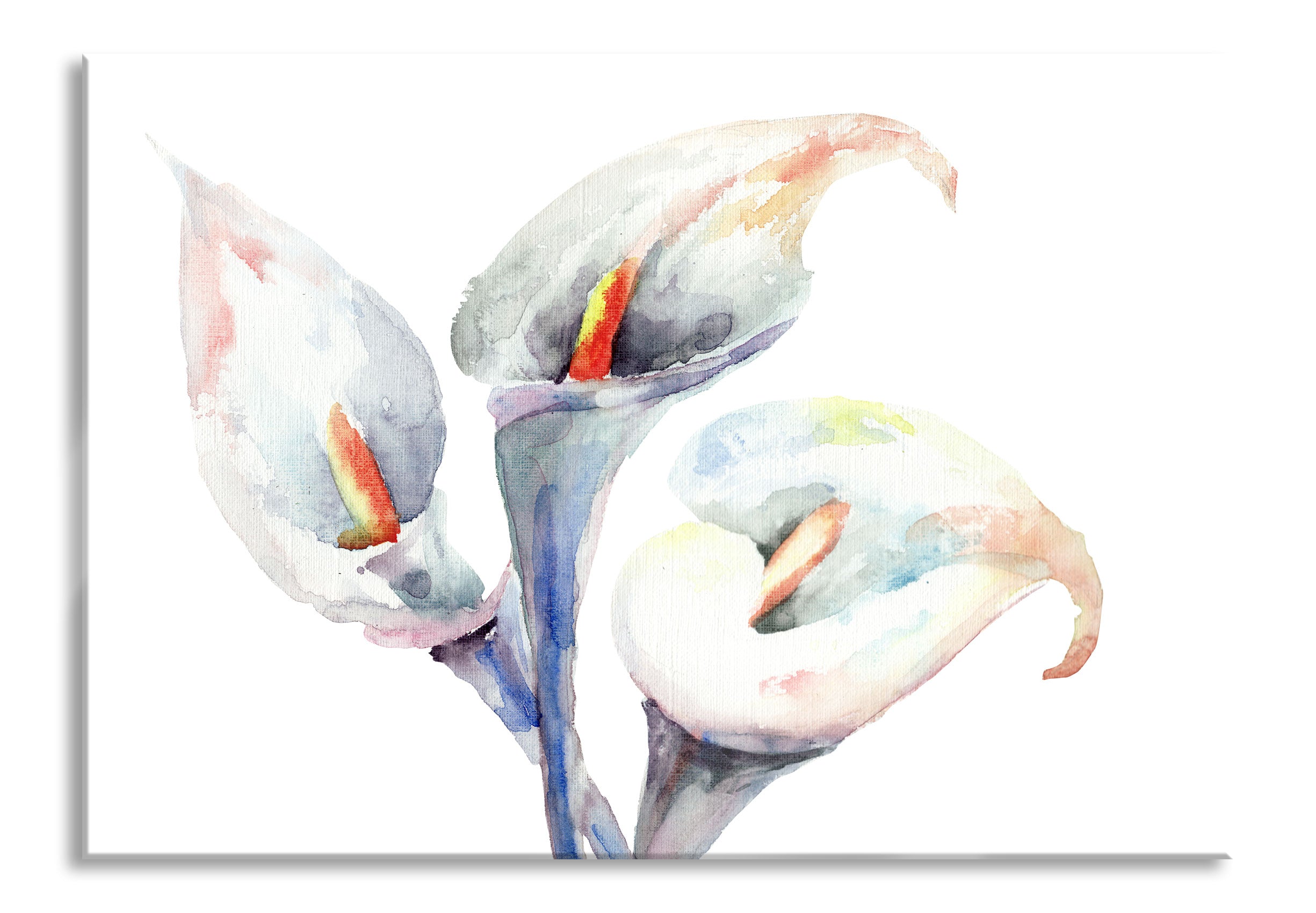 Aquarell Blüten Callas Kunst, Glasbild