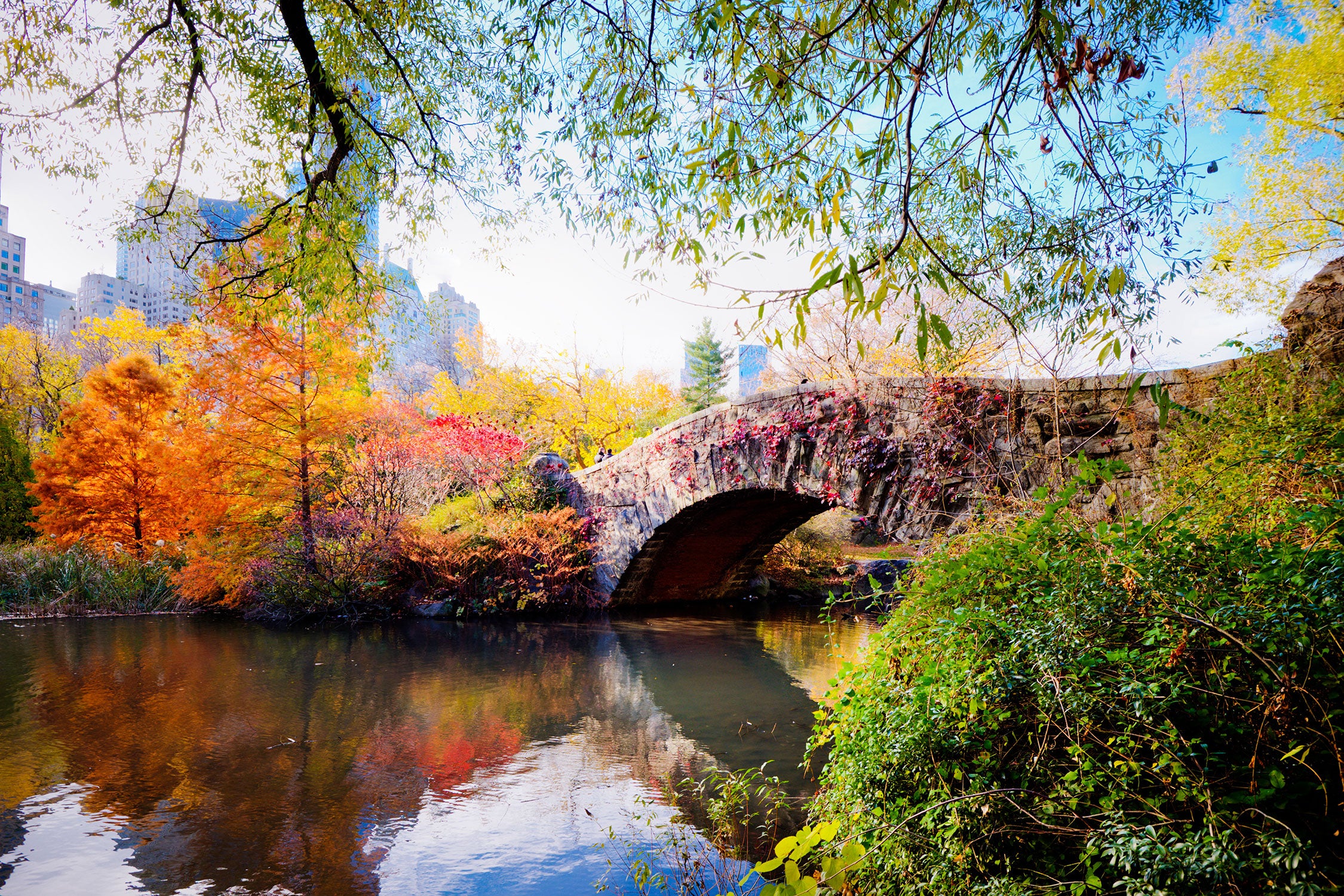 Brücke im Central Park, Glasbild