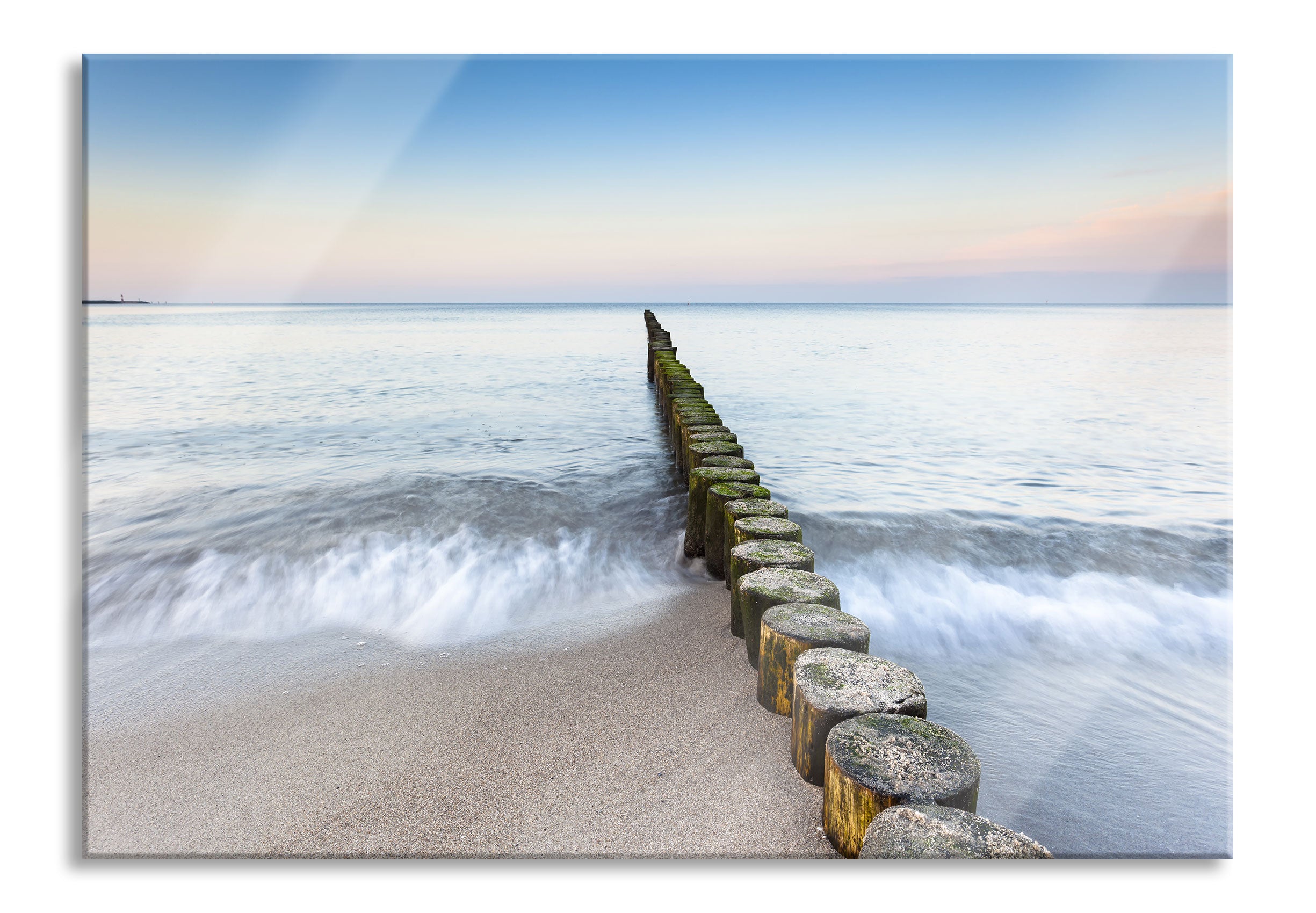 Baumstümpfe die ins Meer führen, Glasbild