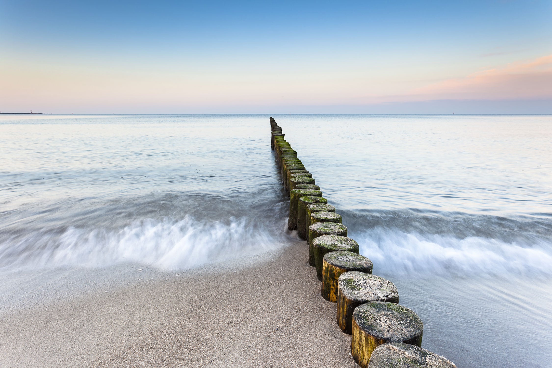 Baumstümpfe die ins Meer führen, Glasbild