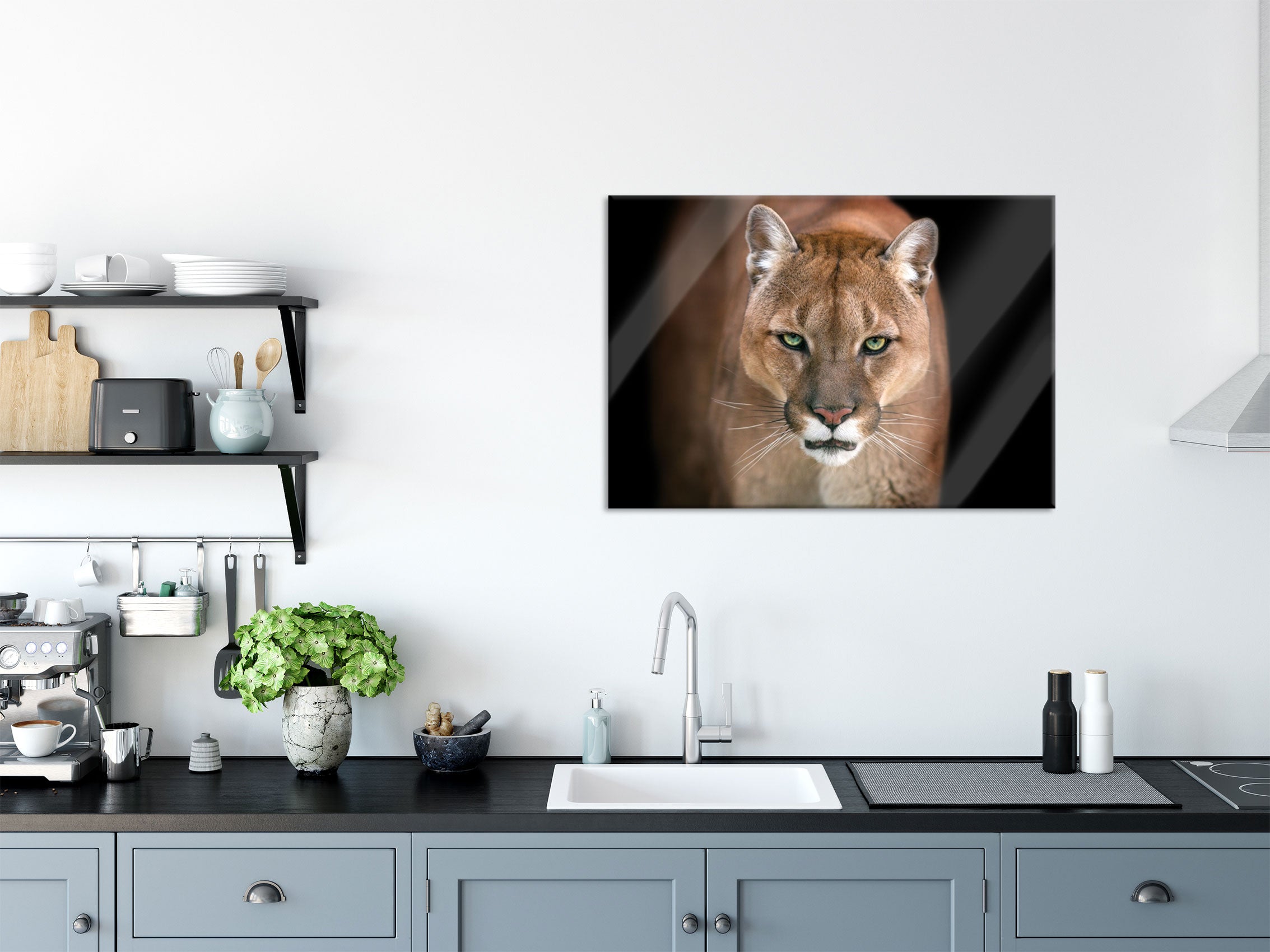 Bedrohlicher Puma Nahaufnahme, Glasbild