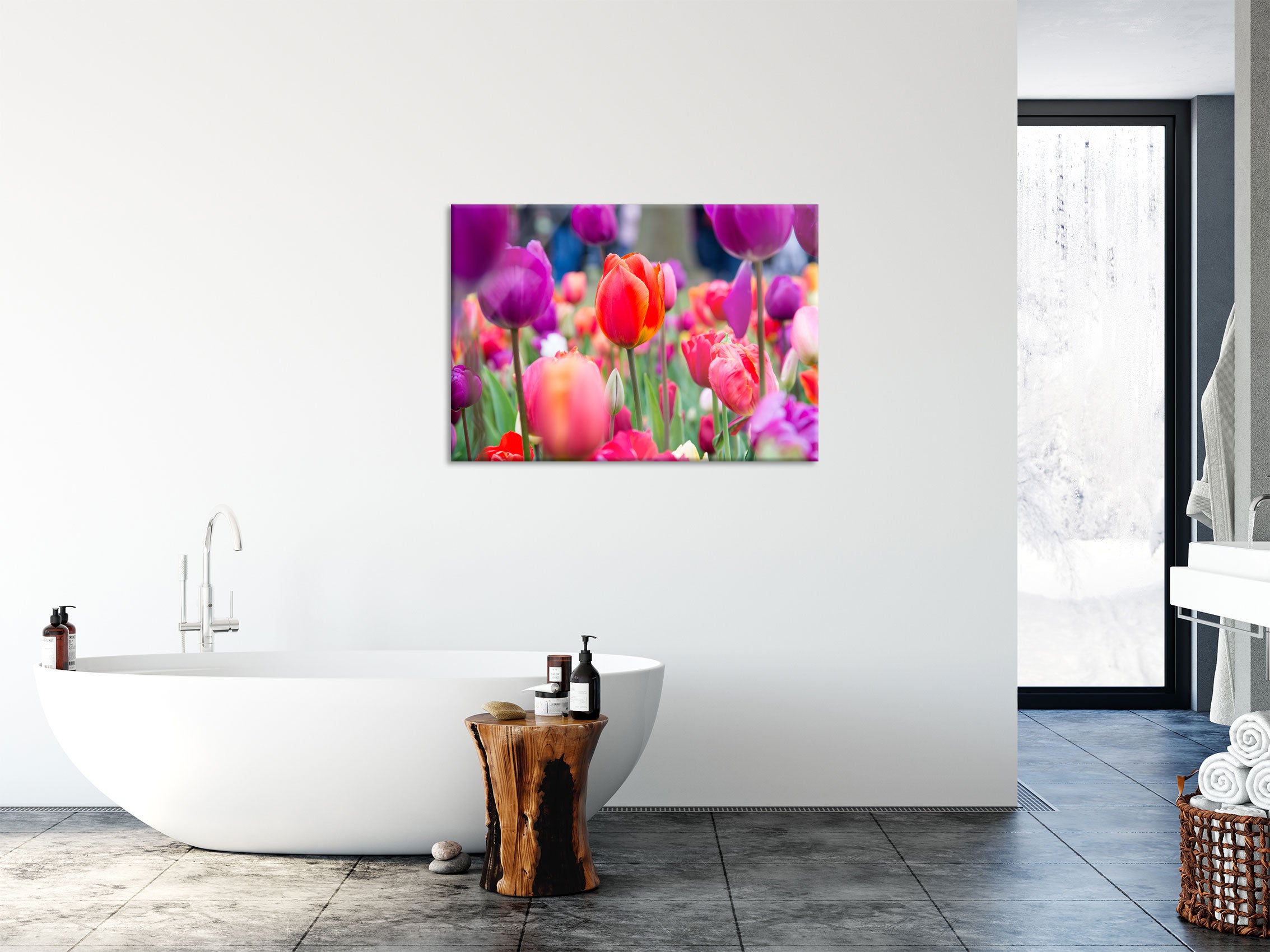 Bunte holländische Tulpen Nahaufnahme, Glasbild