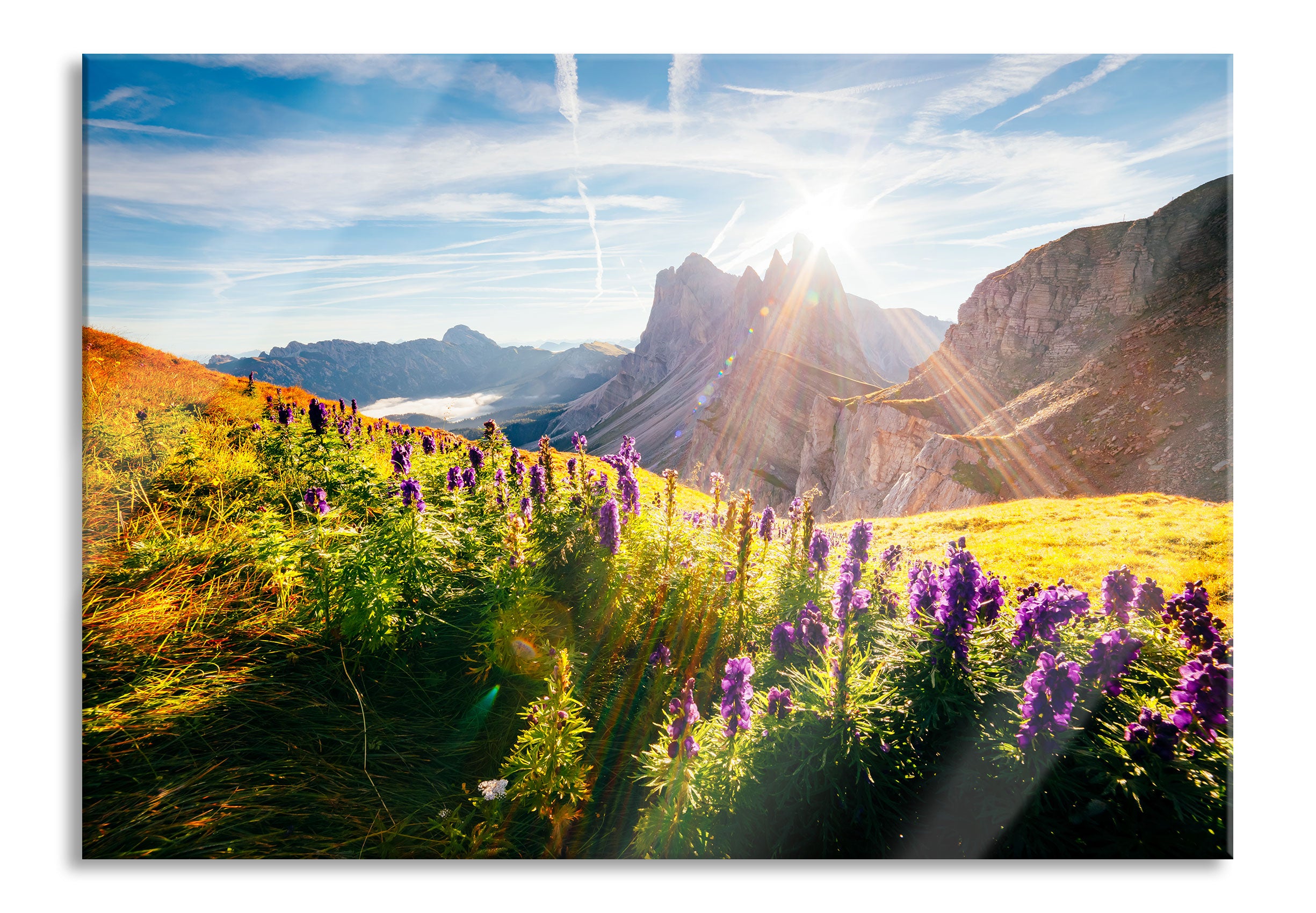 Bergwiese im Puez-Geisler Naturpark, Glasbild