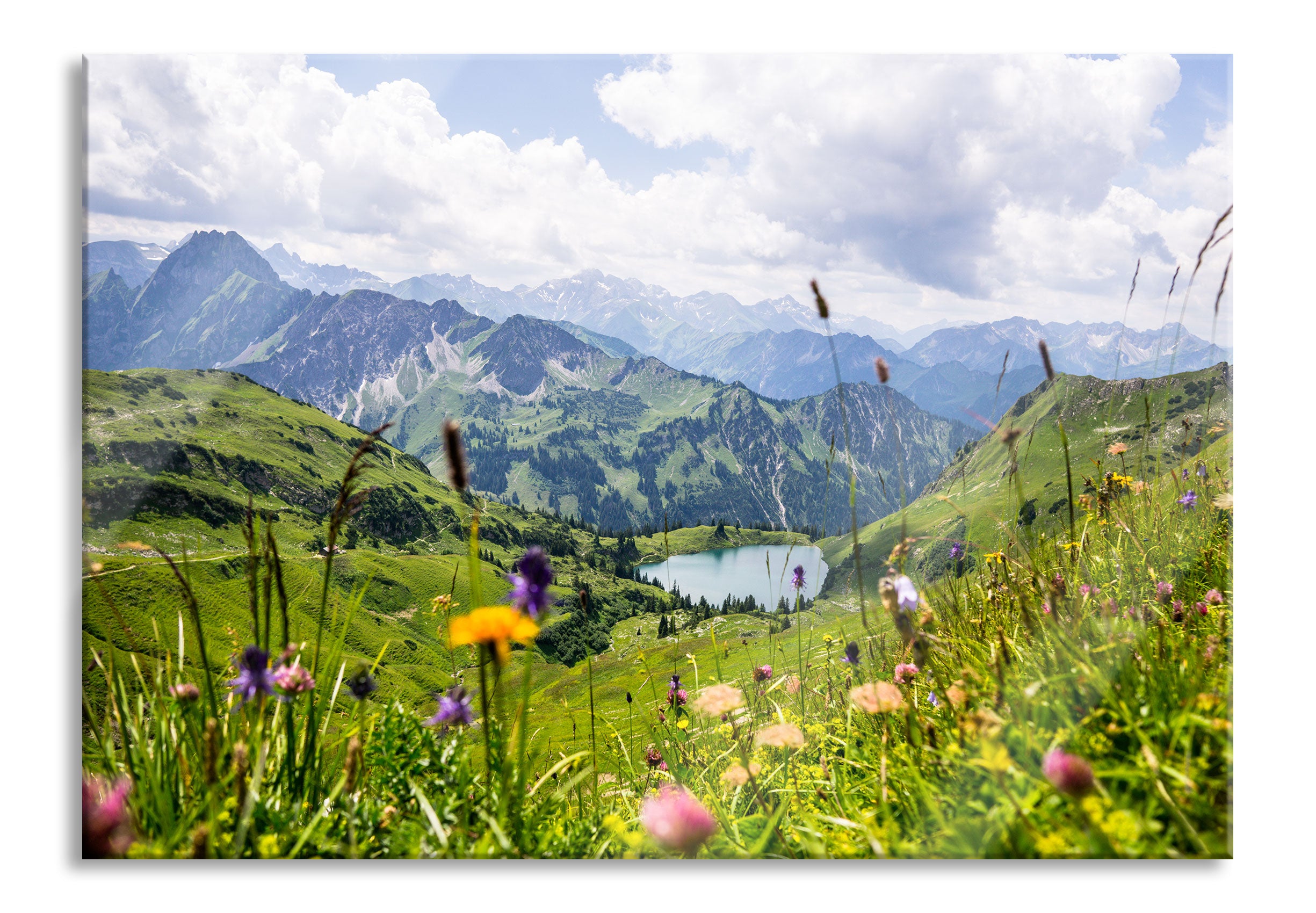 Wiesenblumen in den Bergen, Glasbild