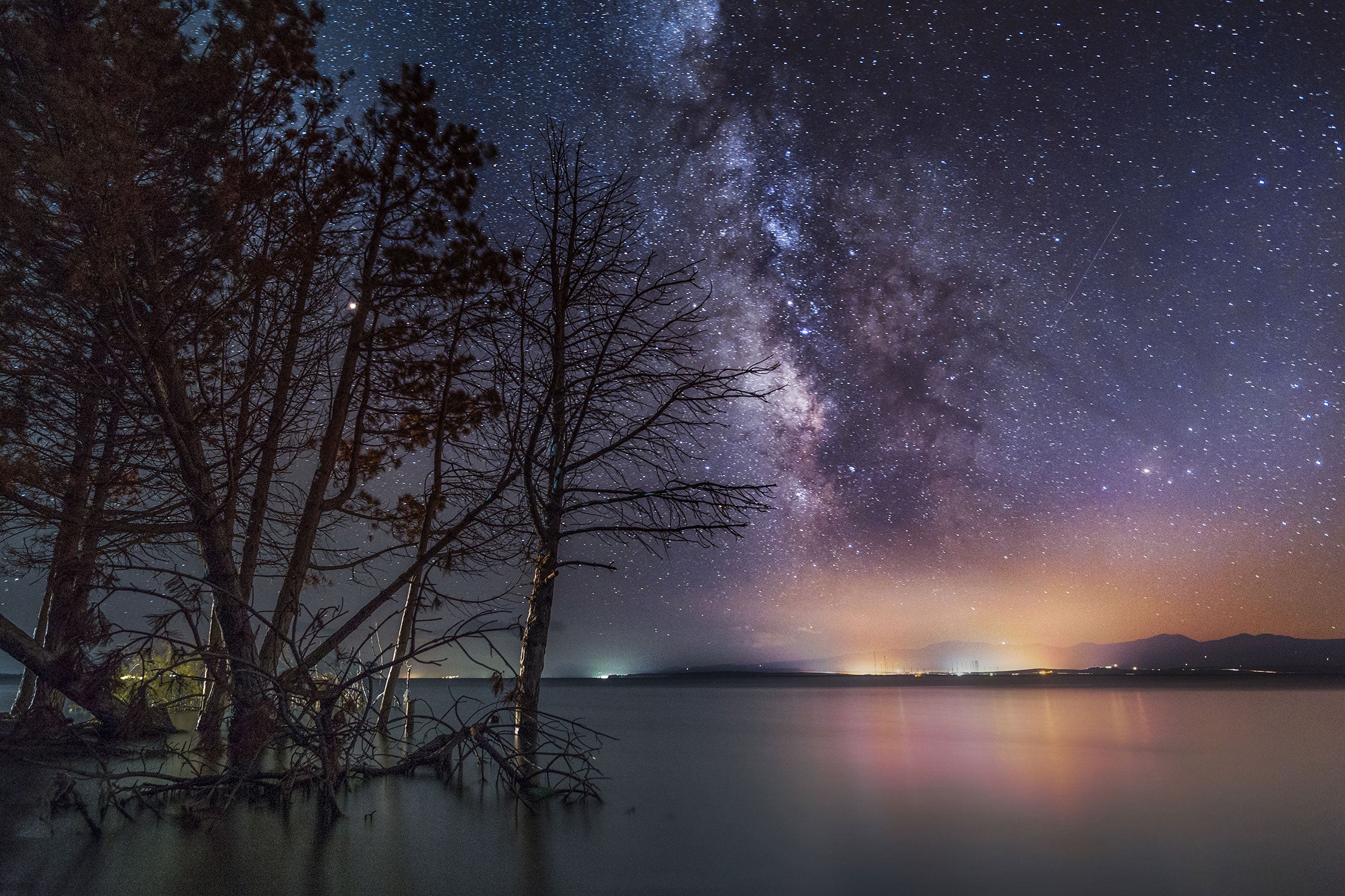 Bäume am See in sternenklarer Nacht, Glasbild