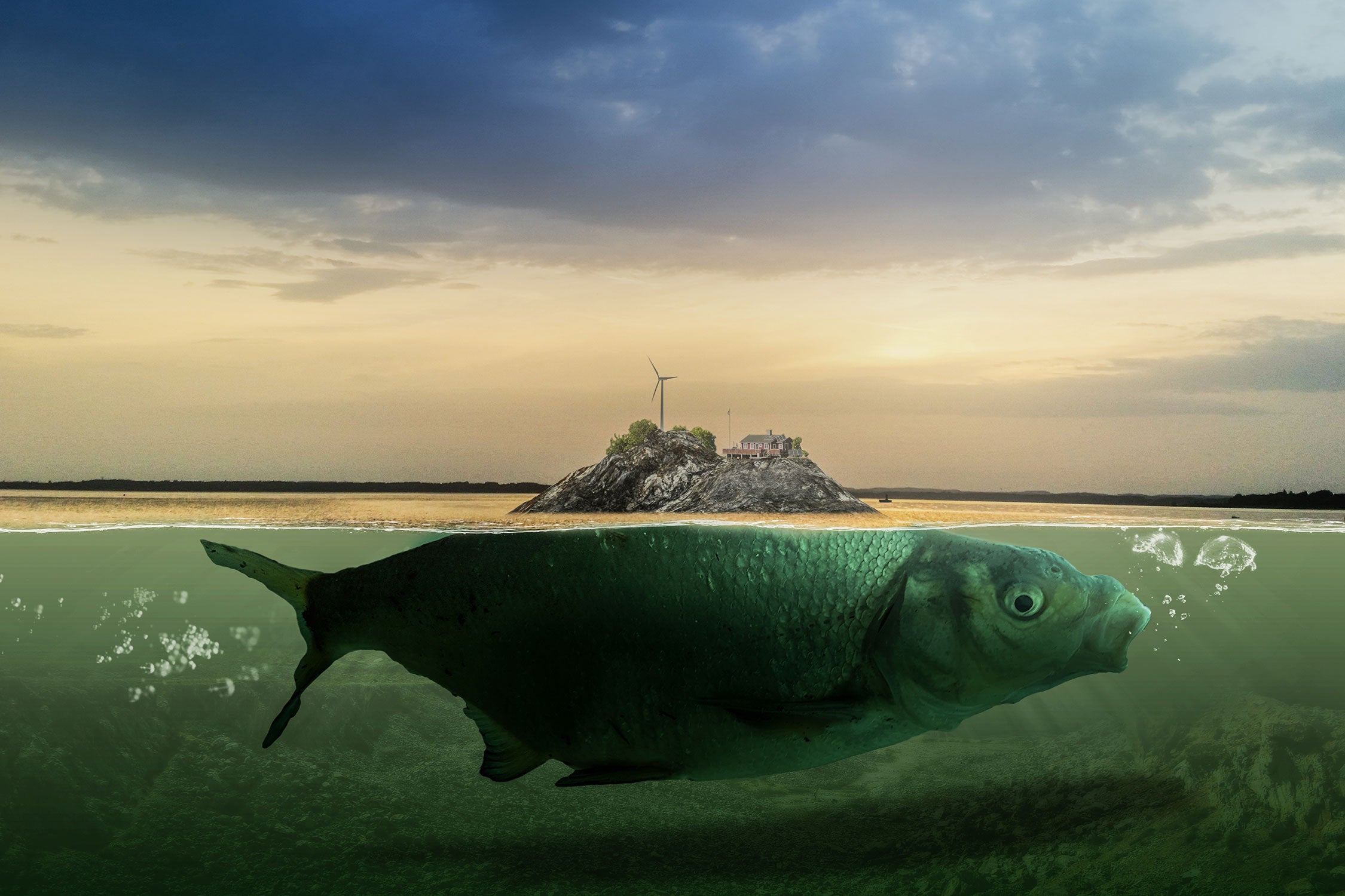 Abstrakter Fisch mit Felsrücken, Glasbild