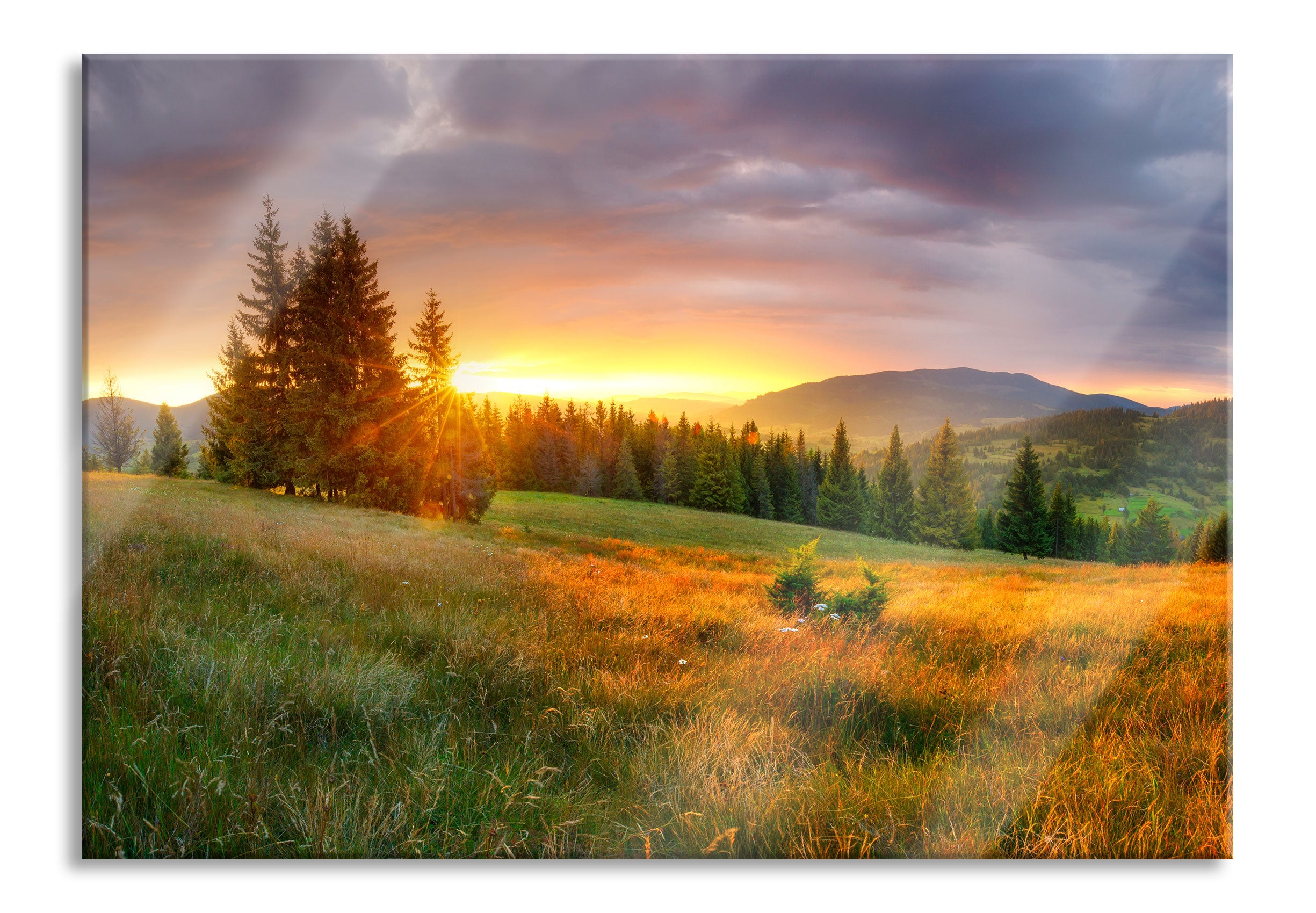 Wiesenlandschaft bei Sonnenuntergang, Glasbild