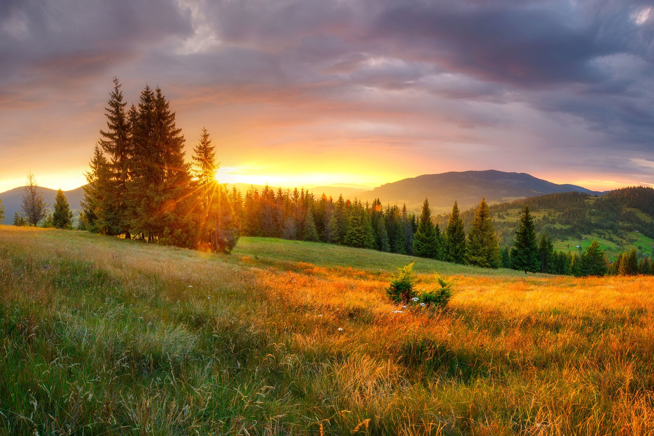 Wiesenlandschaft bei Sonnenuntergang, Glasbild