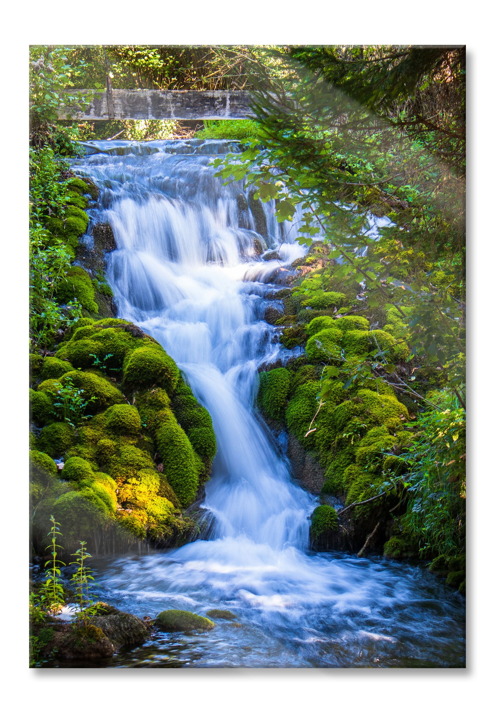 Wasserfall im grünen Wald, Glasbild