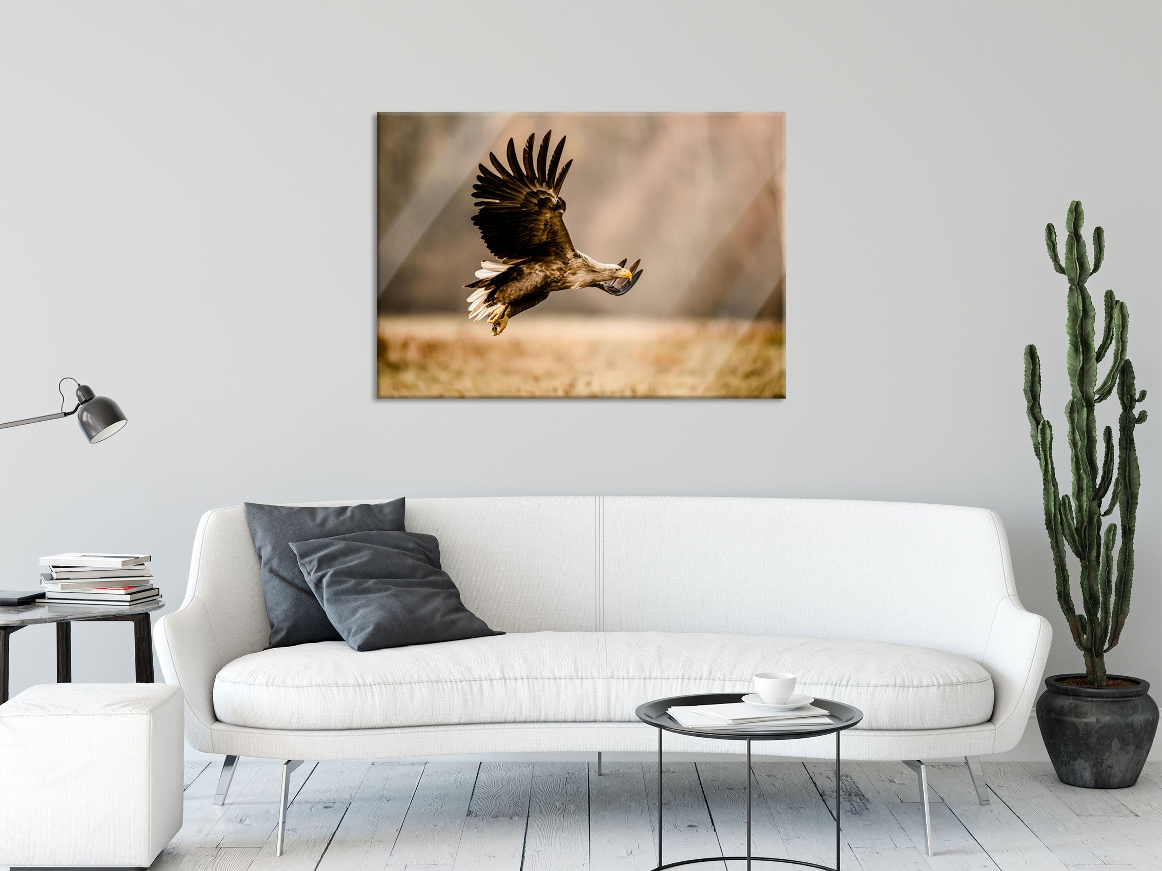 Nahaufnahme Adler bei der Jagd, Glasbild