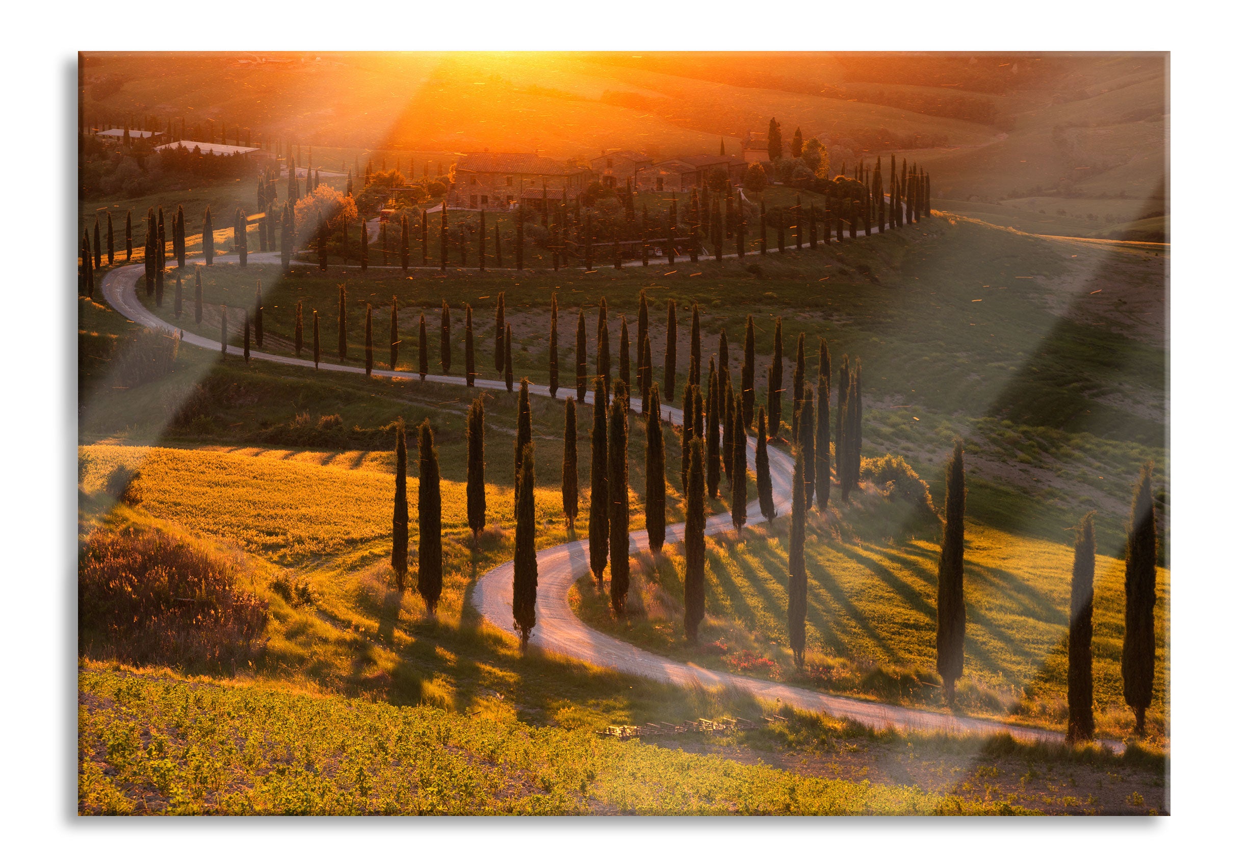 Straße in der Toskana im Sonnenuntergang, Glasbild