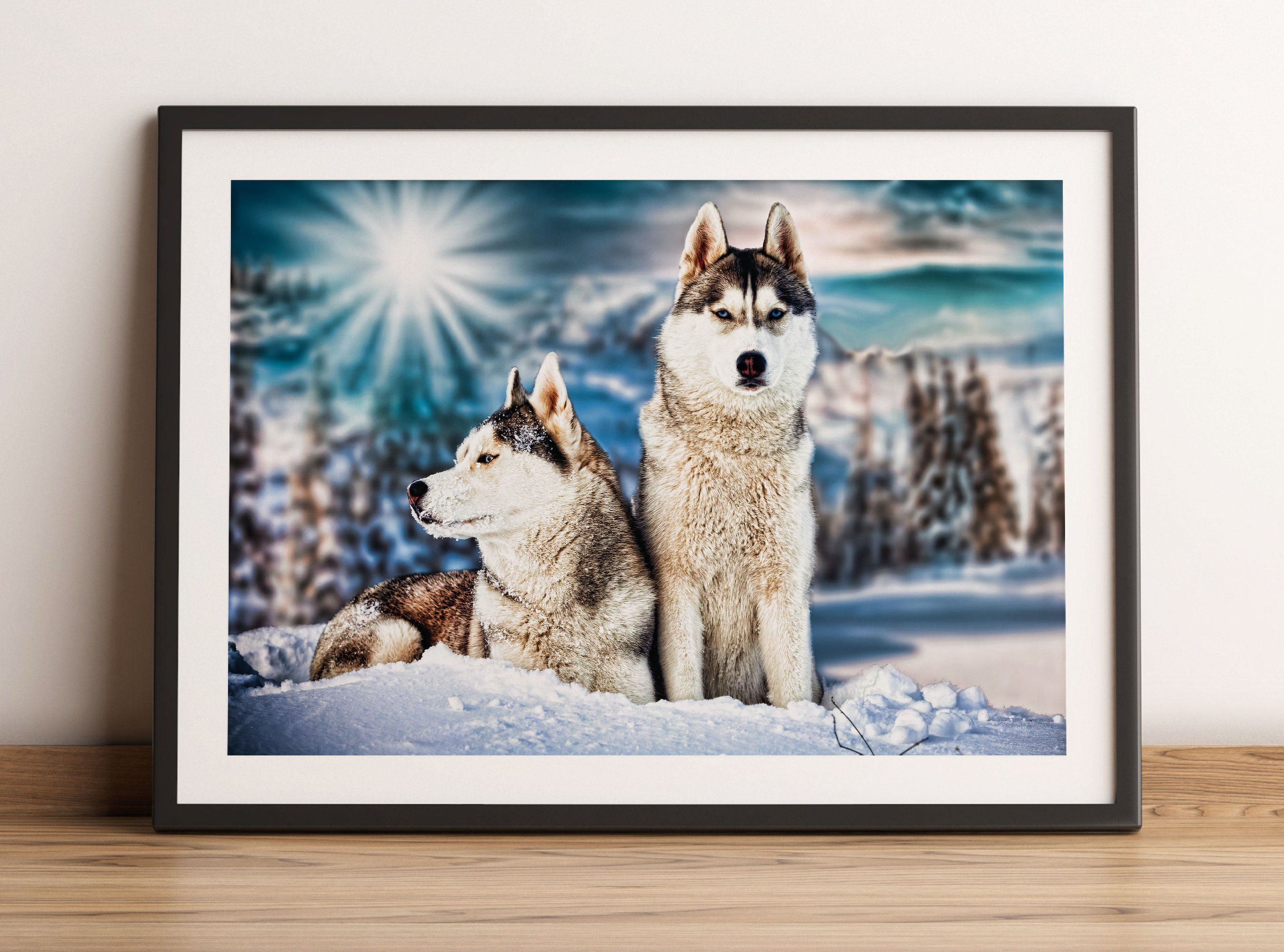 Zwei wilde Huskies, Gerahmtes Bild