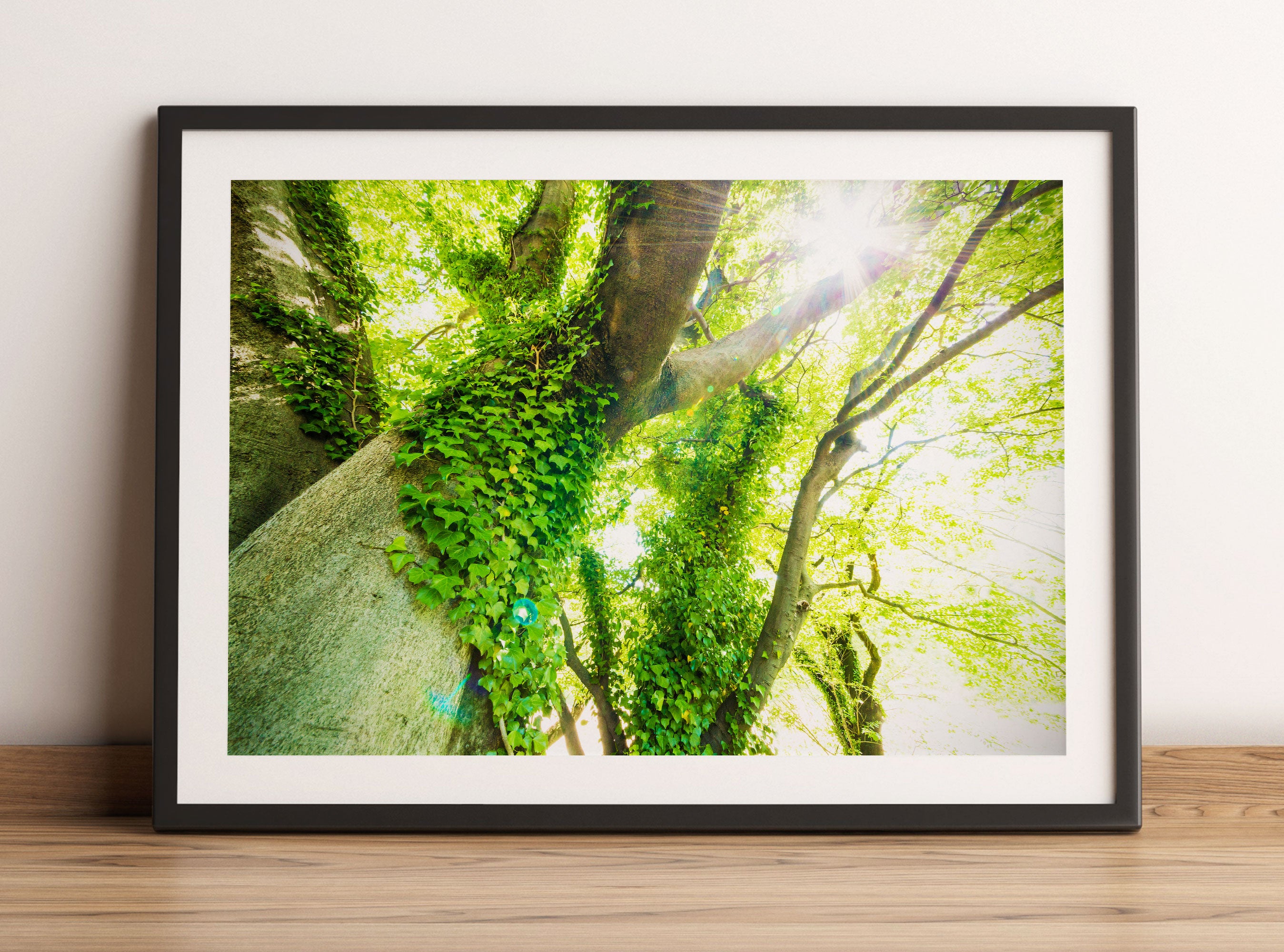 Baum im Sonnenlicht, Gerahmtes Bild