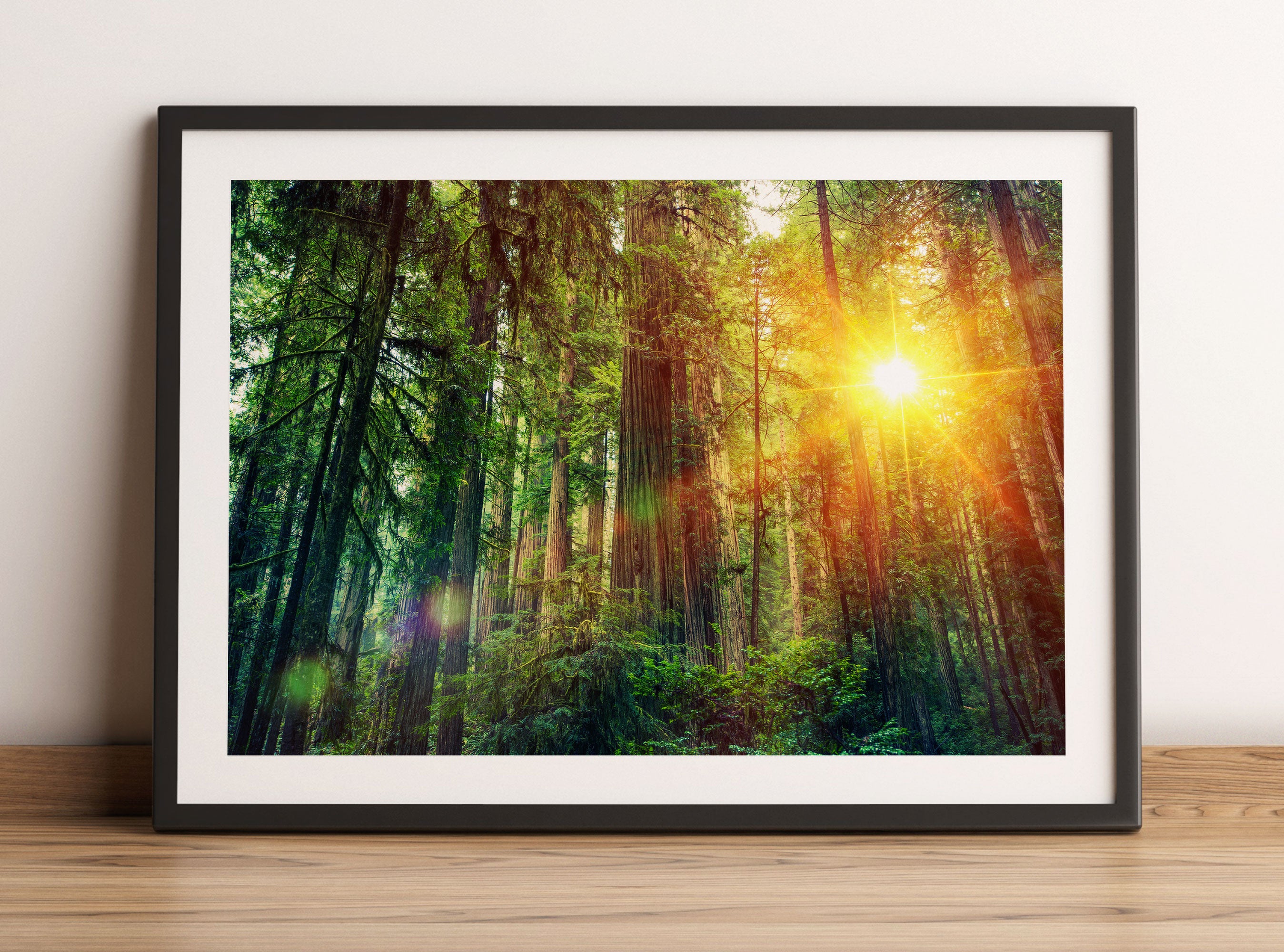 Wald bei Sonnenlicht, Gerahmtes Bild