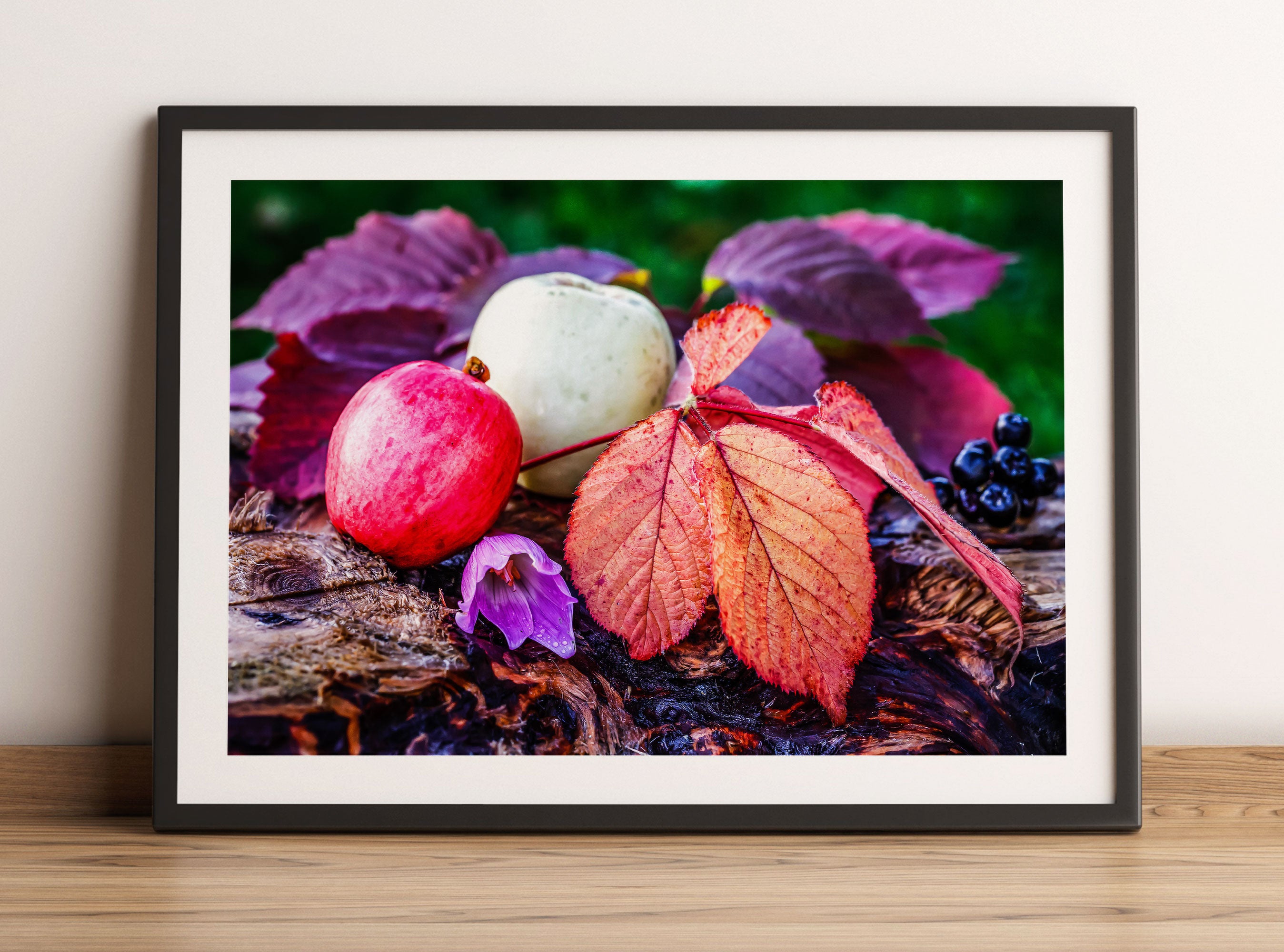 Äpfel und Blätter im Herbst, Gerahmtes Bild