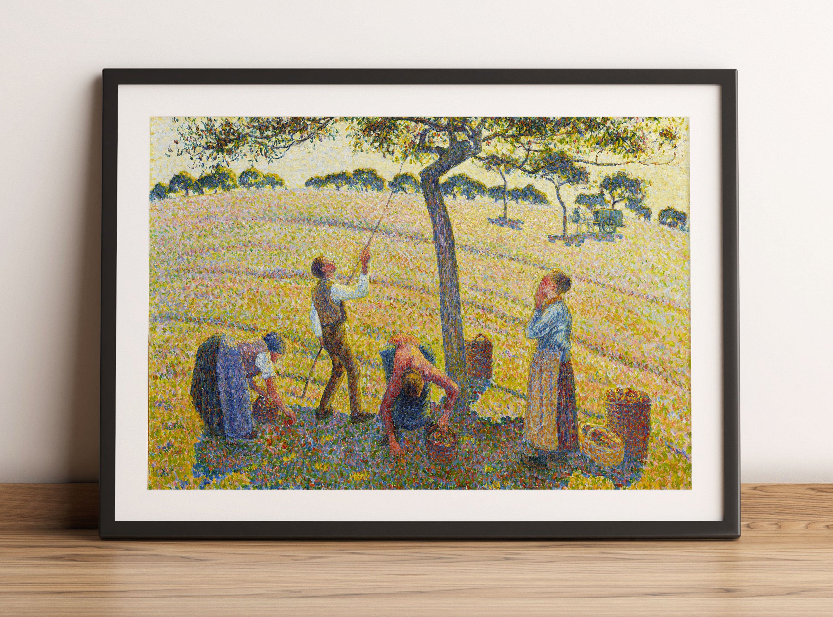 Camille Pissarro - Apple Harvest, Gerahmtes Bild