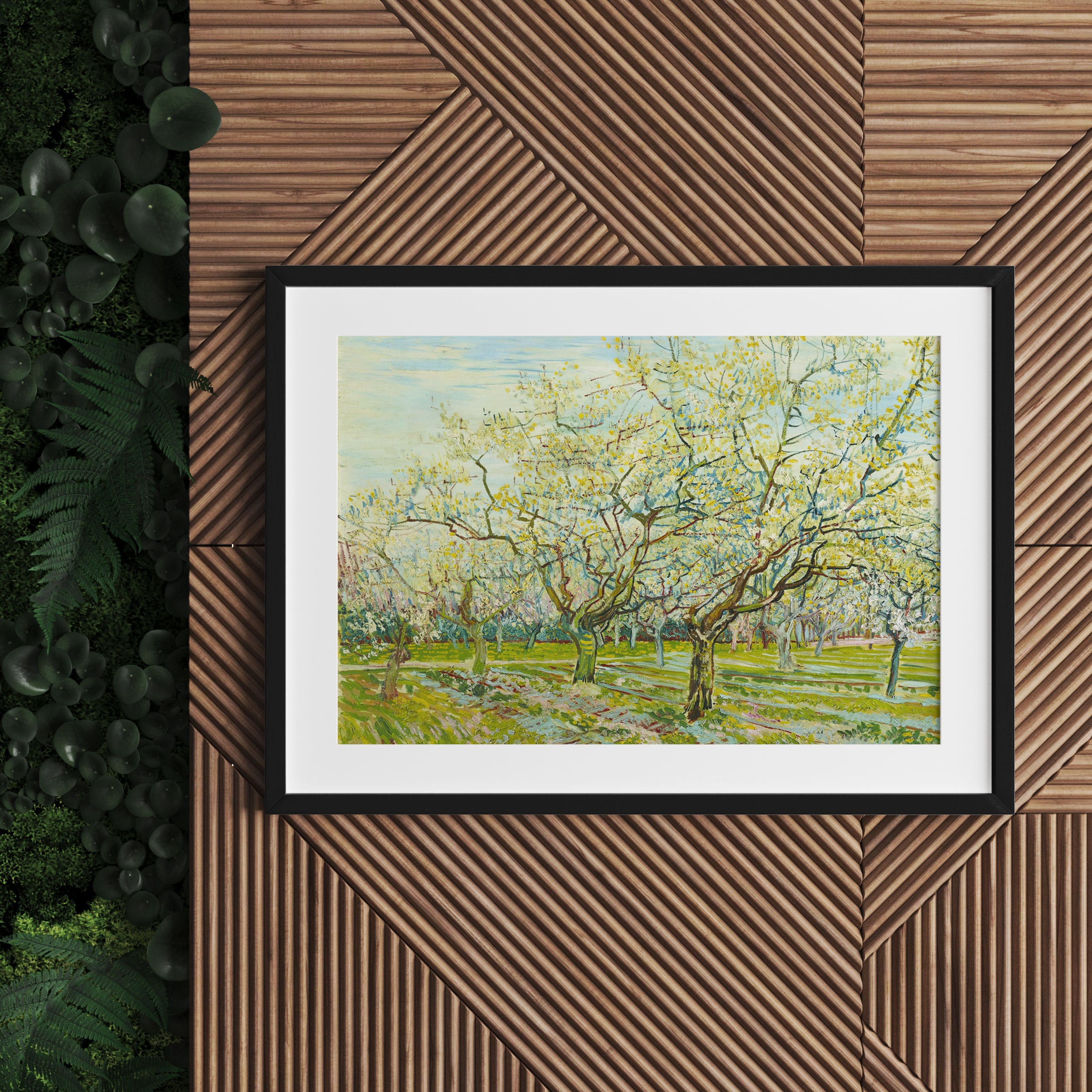 Vincent Van Gogh - Der weiße Obstgarten , Gerahmtes Bild