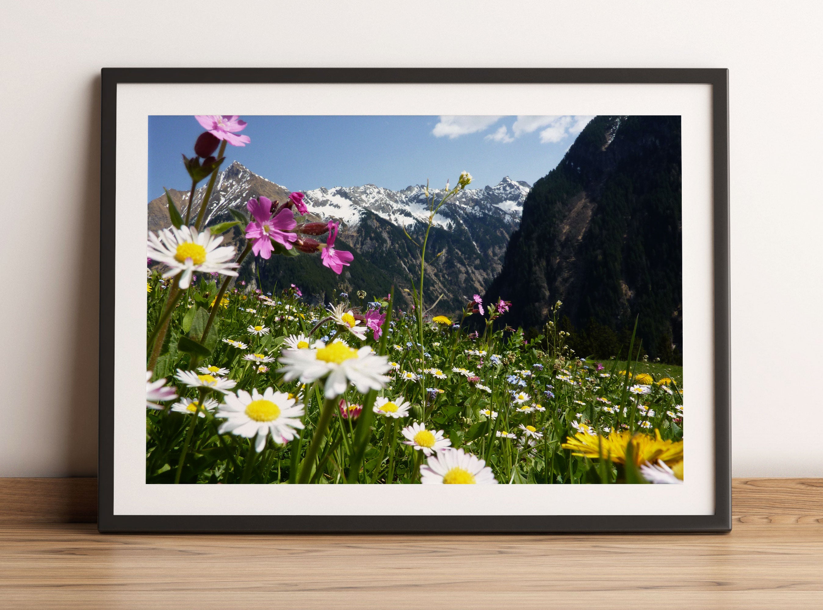 Wunderschöne Blumen Alpenwiese, Gerahmtes Bild