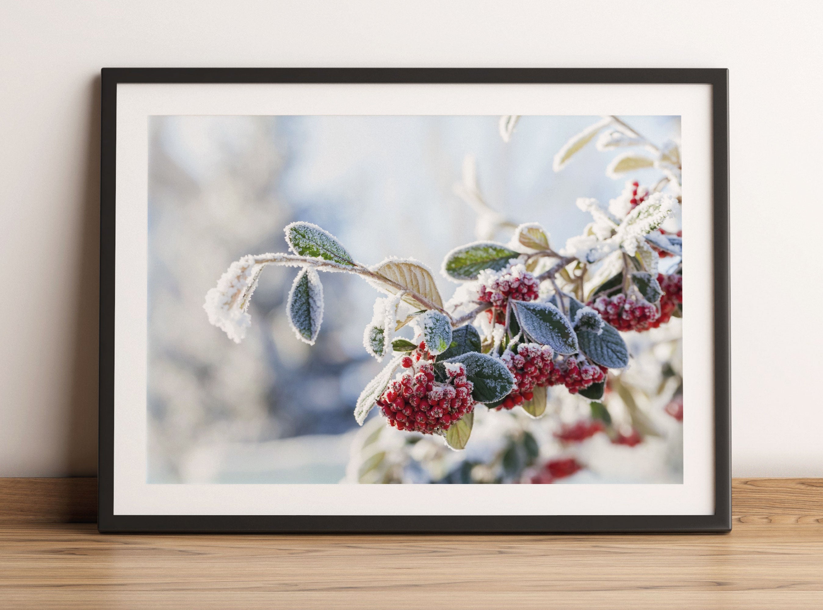 Vogelbeeren im Winter, Gerahmtes Bild